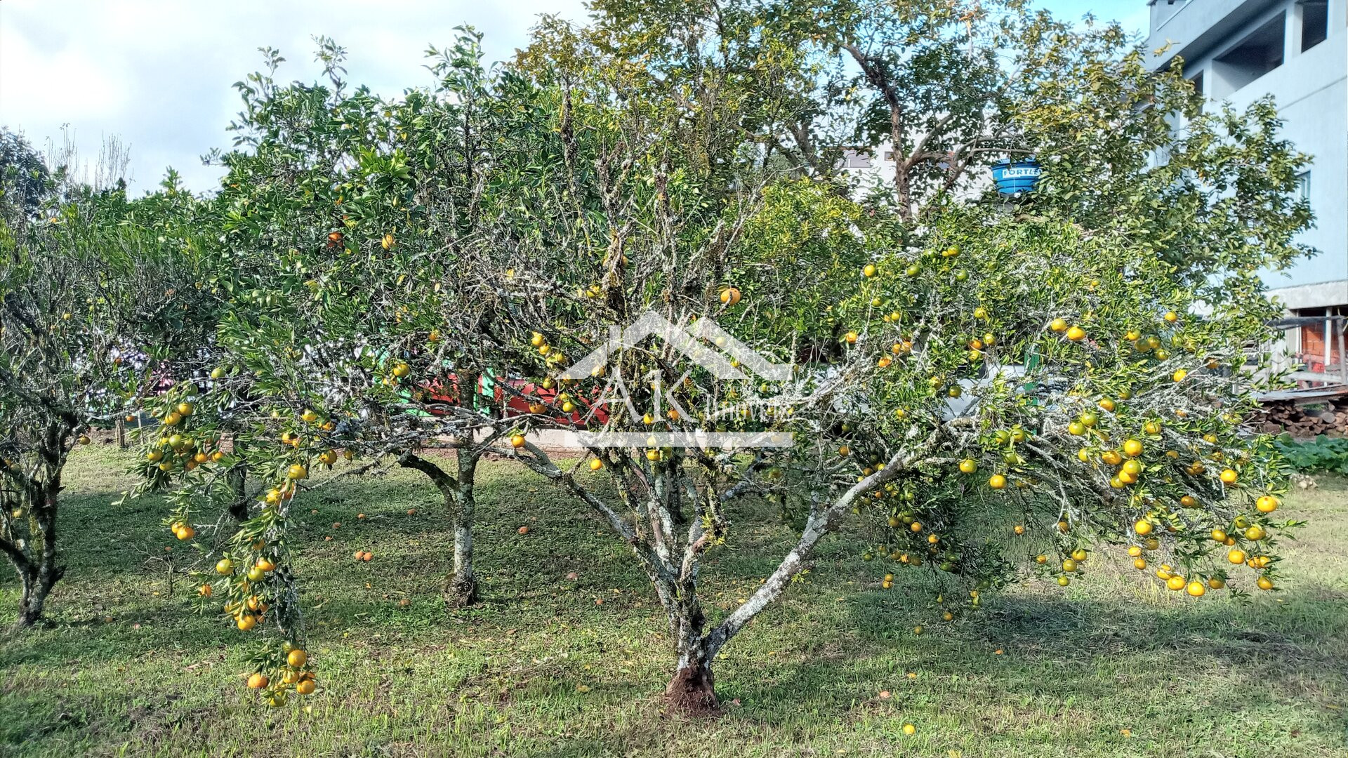 Terreno amplo com riacho à venda no centro de Picada Café, na Serra Gaúcha