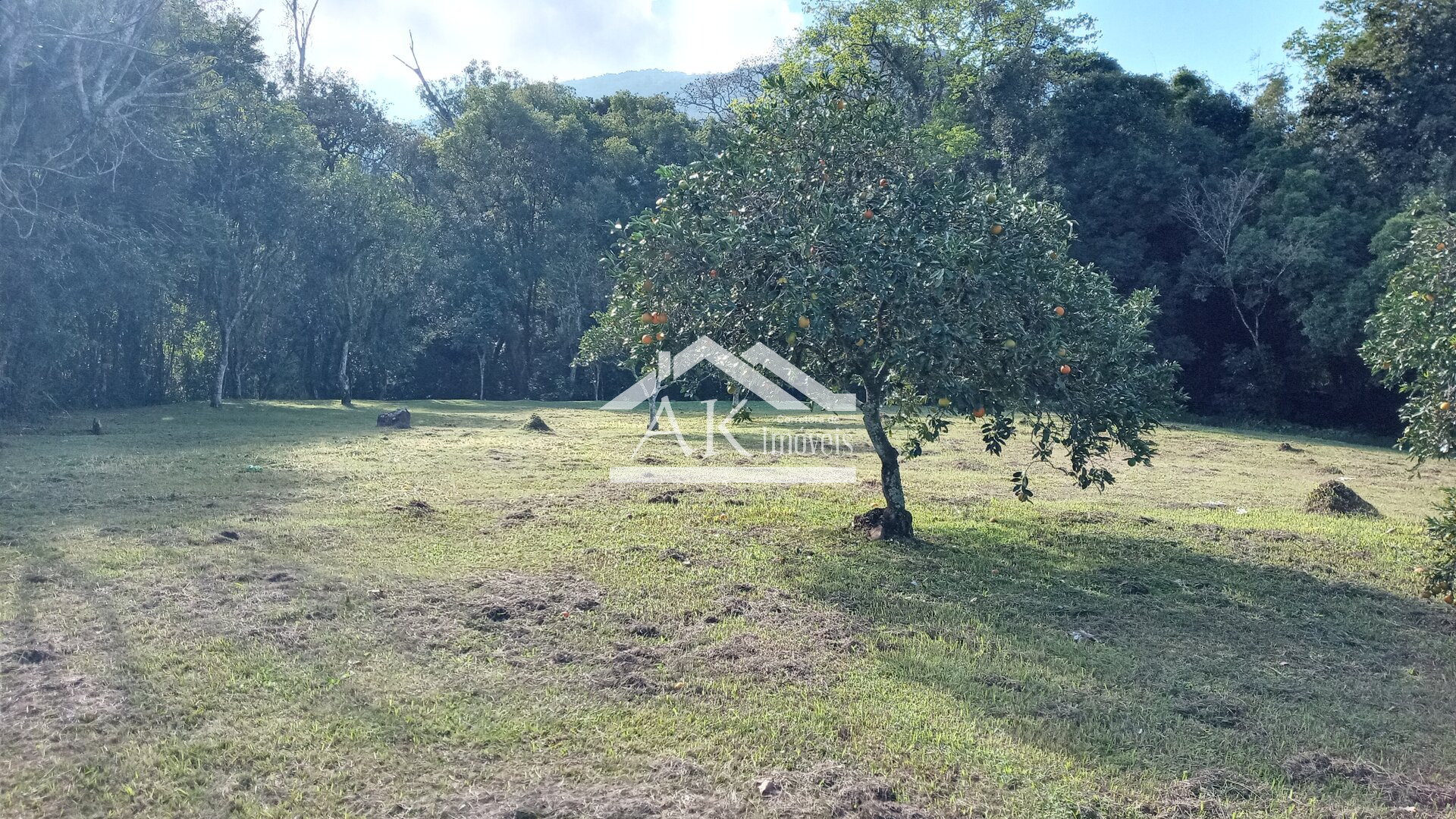 Terreno amplo com riacho à venda no centro de Picada Café, na Serra Gaúcha