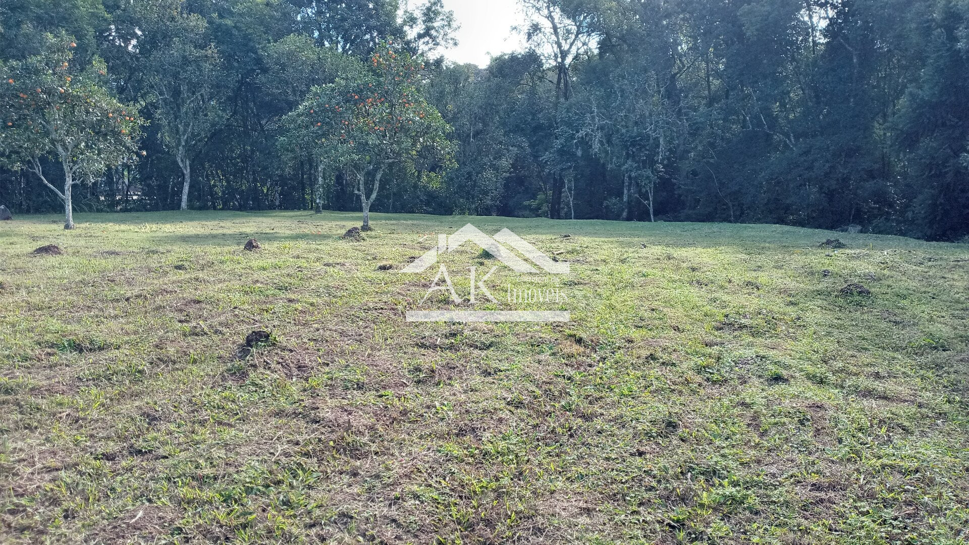 Terreno amplo com riacho à venda no centro de Picada Café, na Serra Gaúcha
