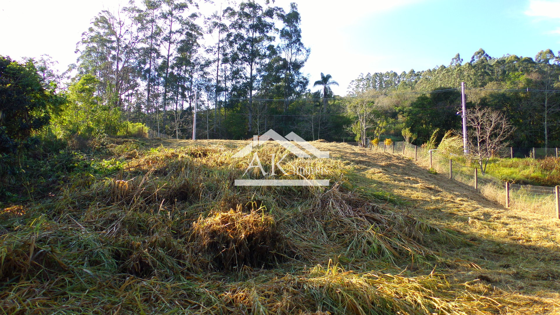 Amplo terreno a venda em Picada Café, na Serra Gaúcha