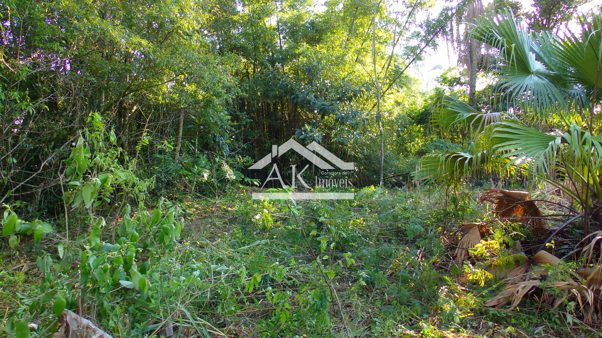 Amplo terreno a venda em Picada Café, na Serra Gaúcha
