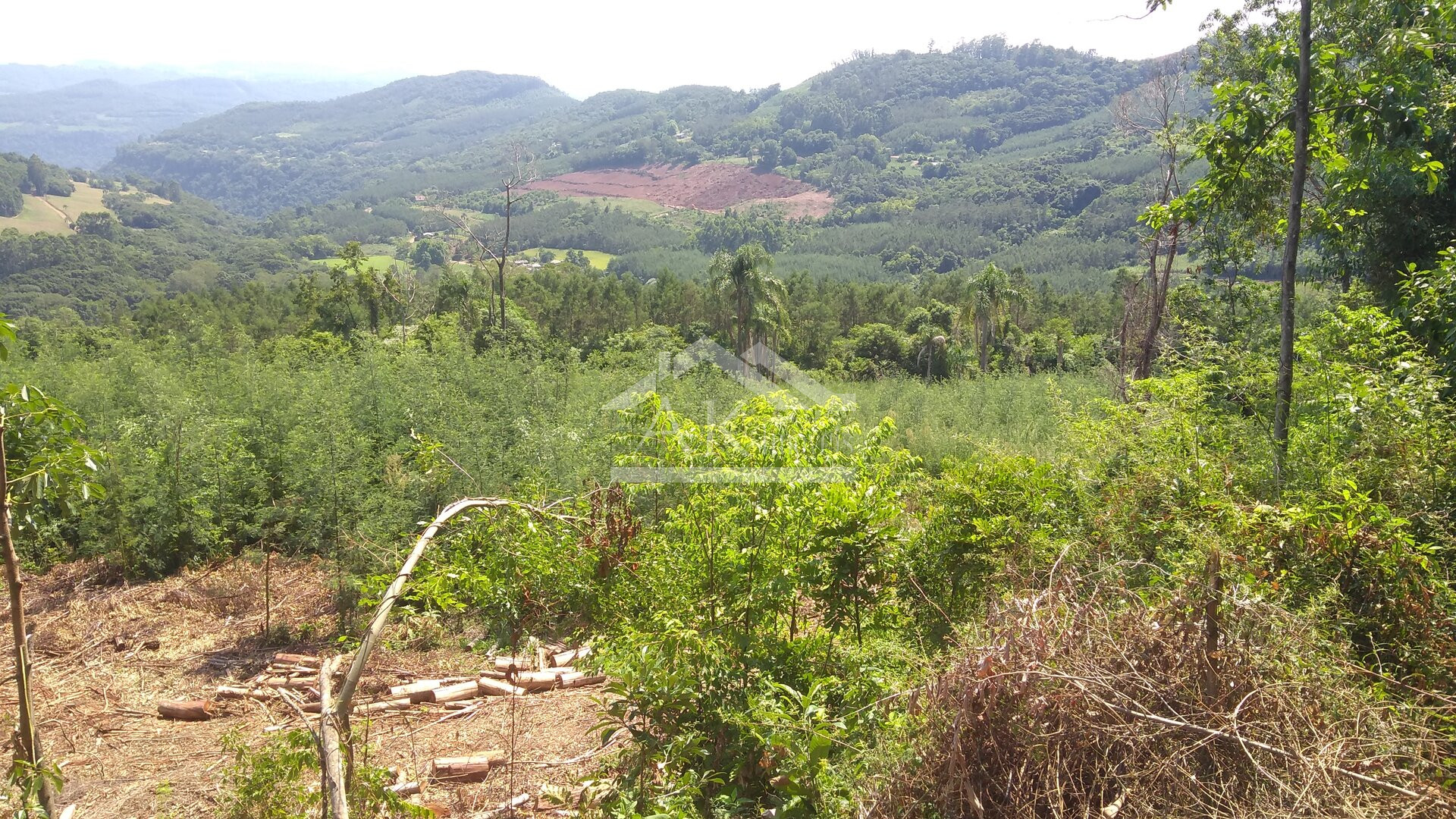 Área de terras com vista panorâmica à venda na zona rural de Morro Reuter