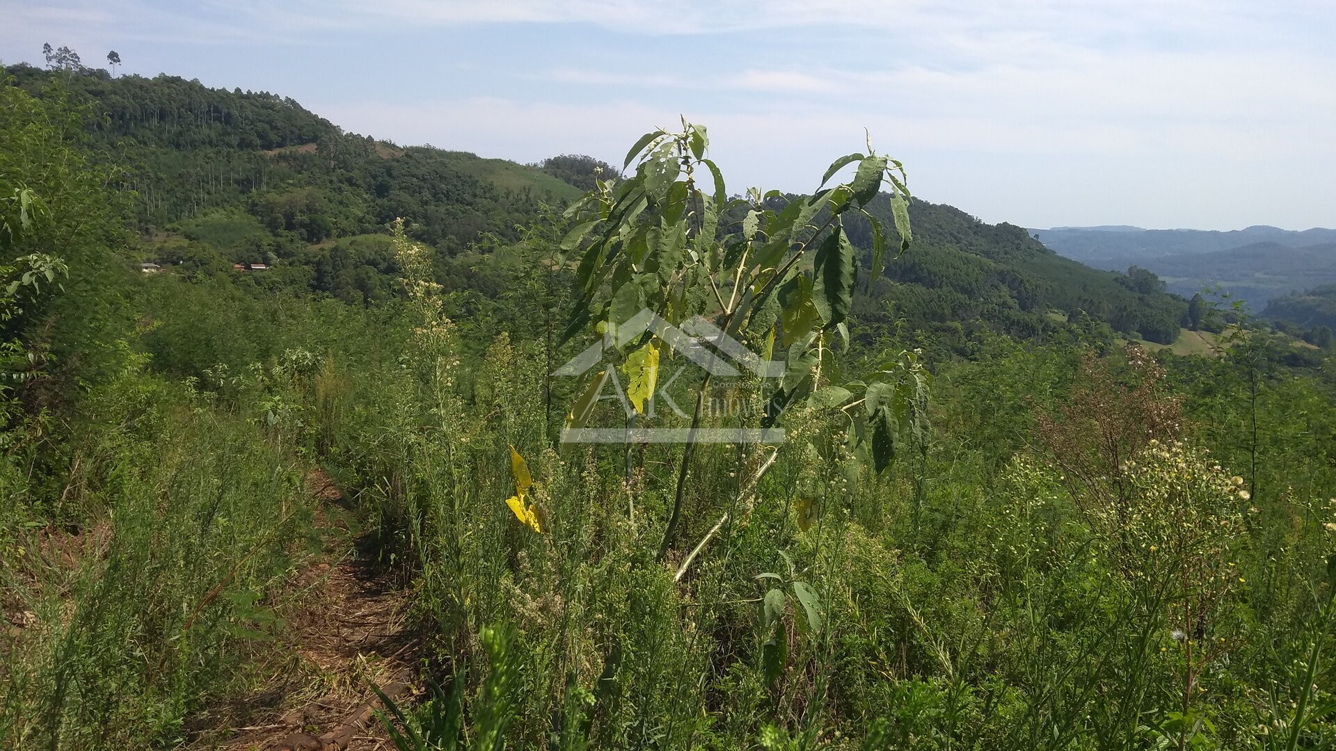 Área de terras com vista panorâmica à venda na zona rural de Morro Reuter
