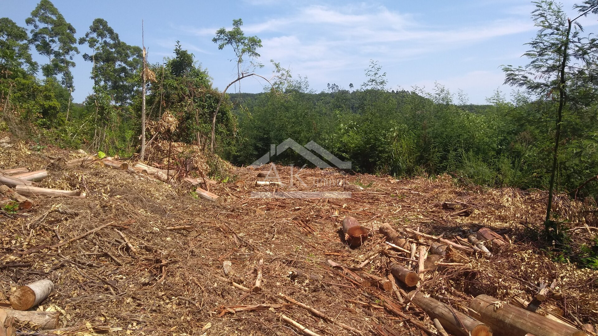 Área de terras com vista panorâmica à venda na zona rural de Morro Reuter