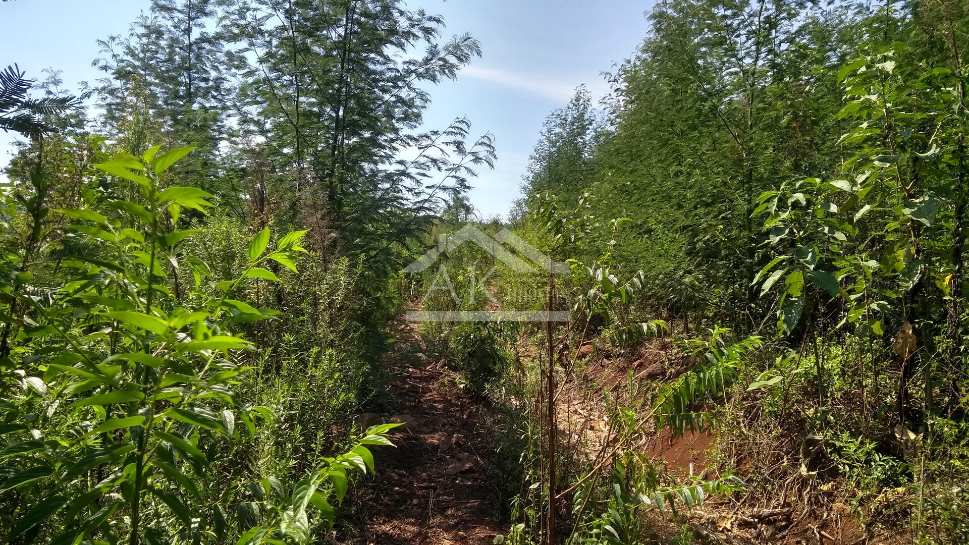 Área de terras com vista panorâmica à venda na zona rural de Morro Reuter