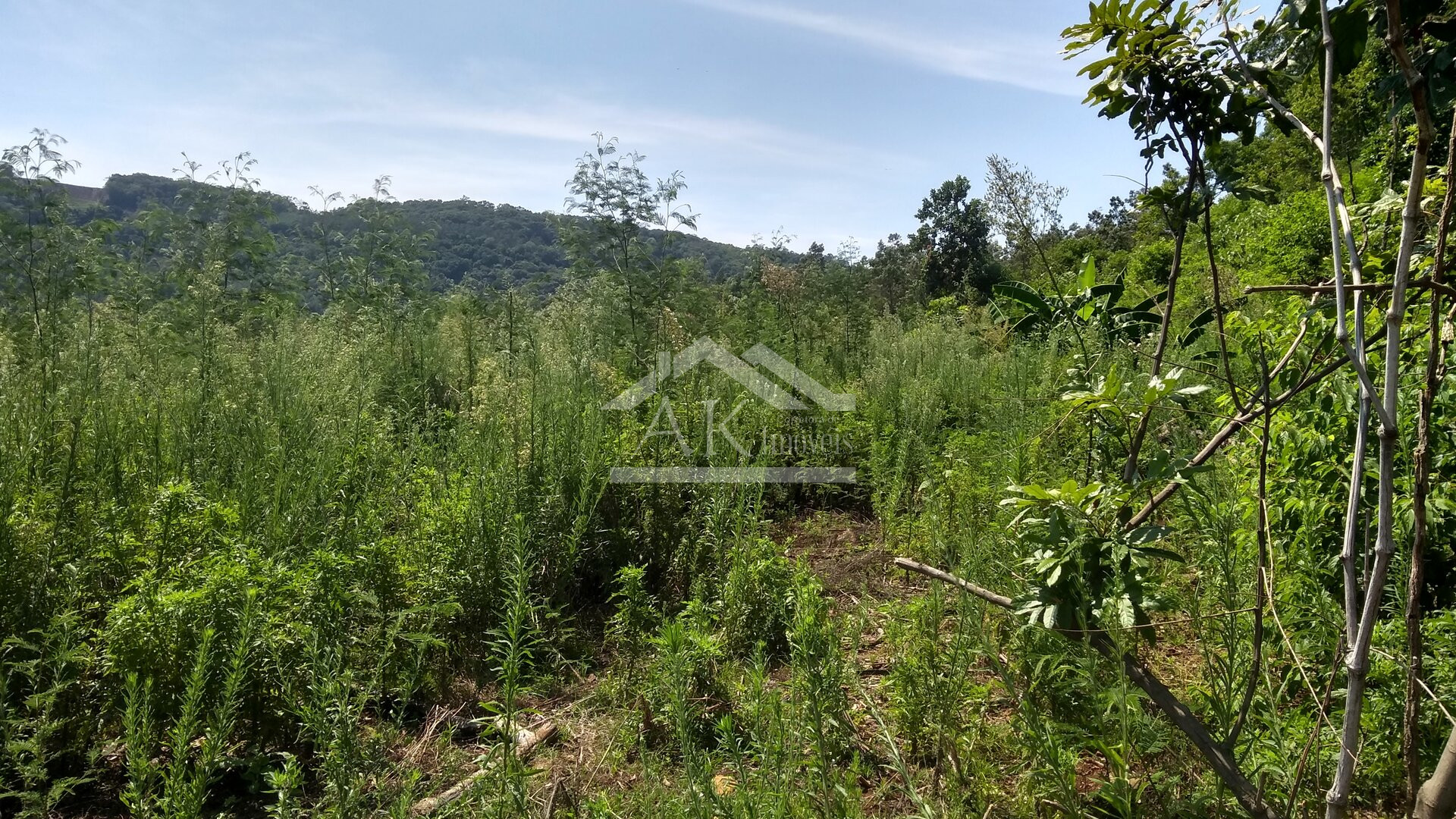 Área de terras com vista panorâmica à venda na zona rural de Morro Reuter