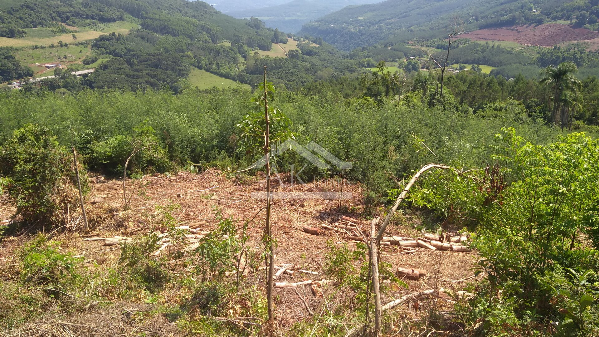 Área de terras com vista panorâmica à venda na zona rural de Morro Reuter