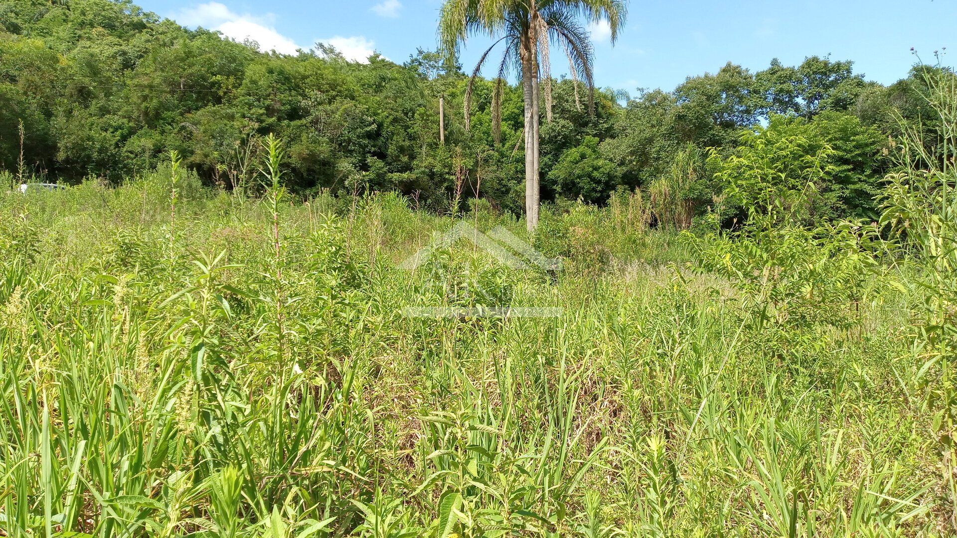 Área de terras com 3 hectares à venda em Picada Café na Serra Gaúcha