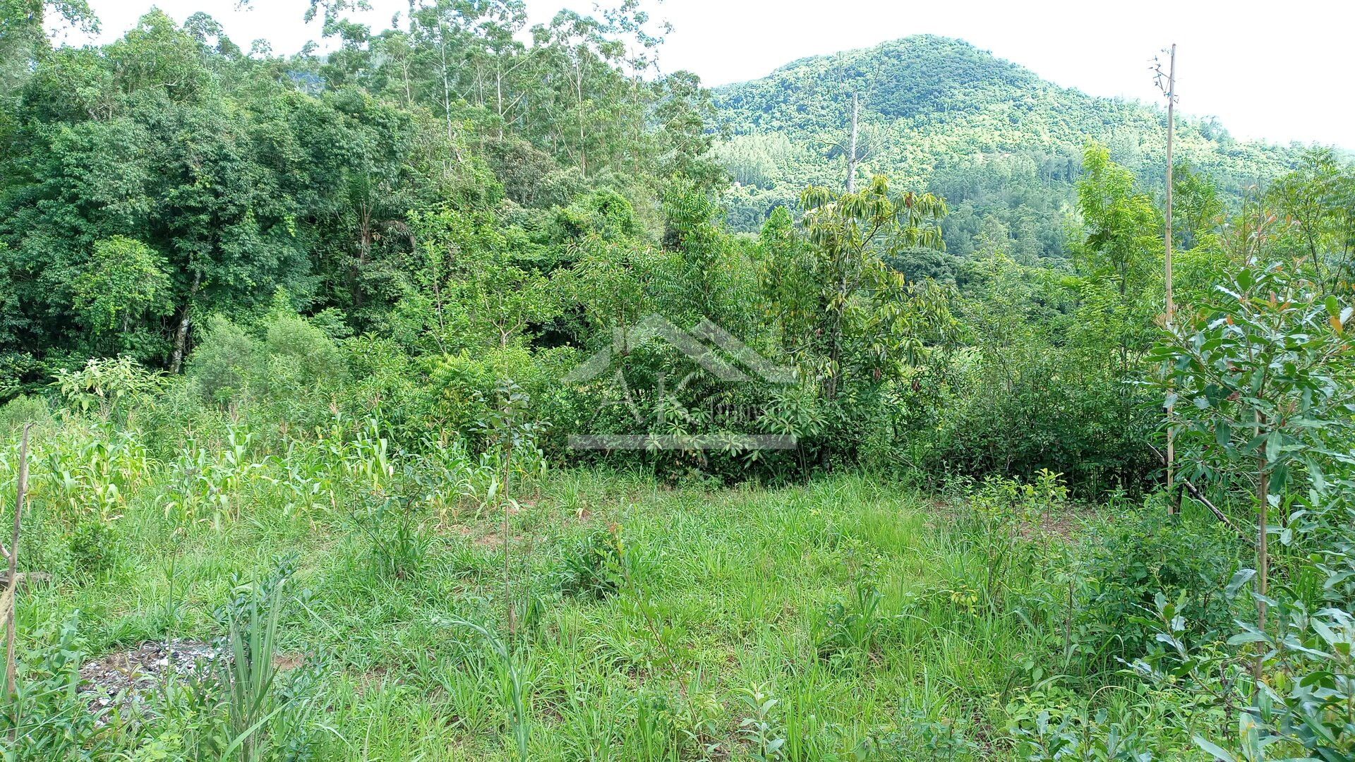 Área de terras com 3 hectares à venda em Picada Café na Serra Gaúcha