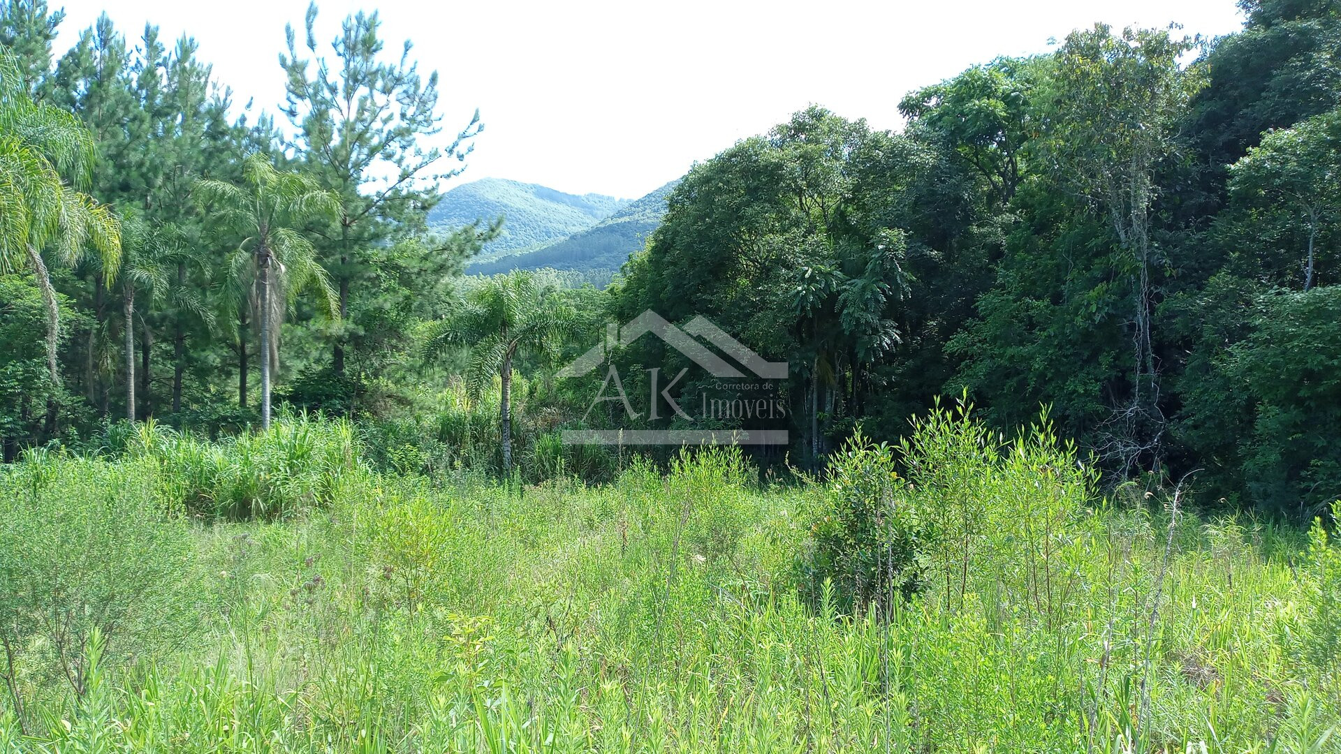 Área de terras com 3 hectares à venda em Picada Café na Serra Gaúcha