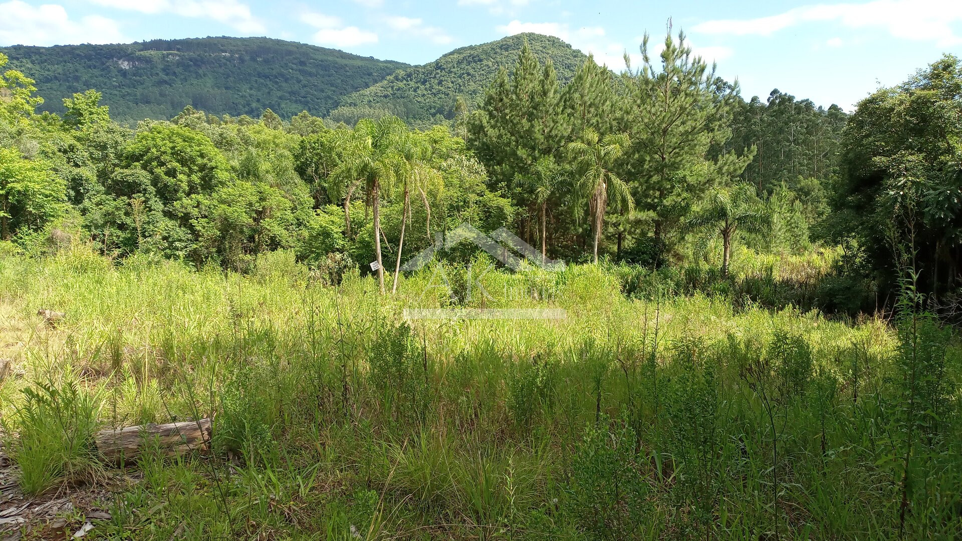 Área de terras com 3 hectares à venda em Picada Café na Serra Gaúcha