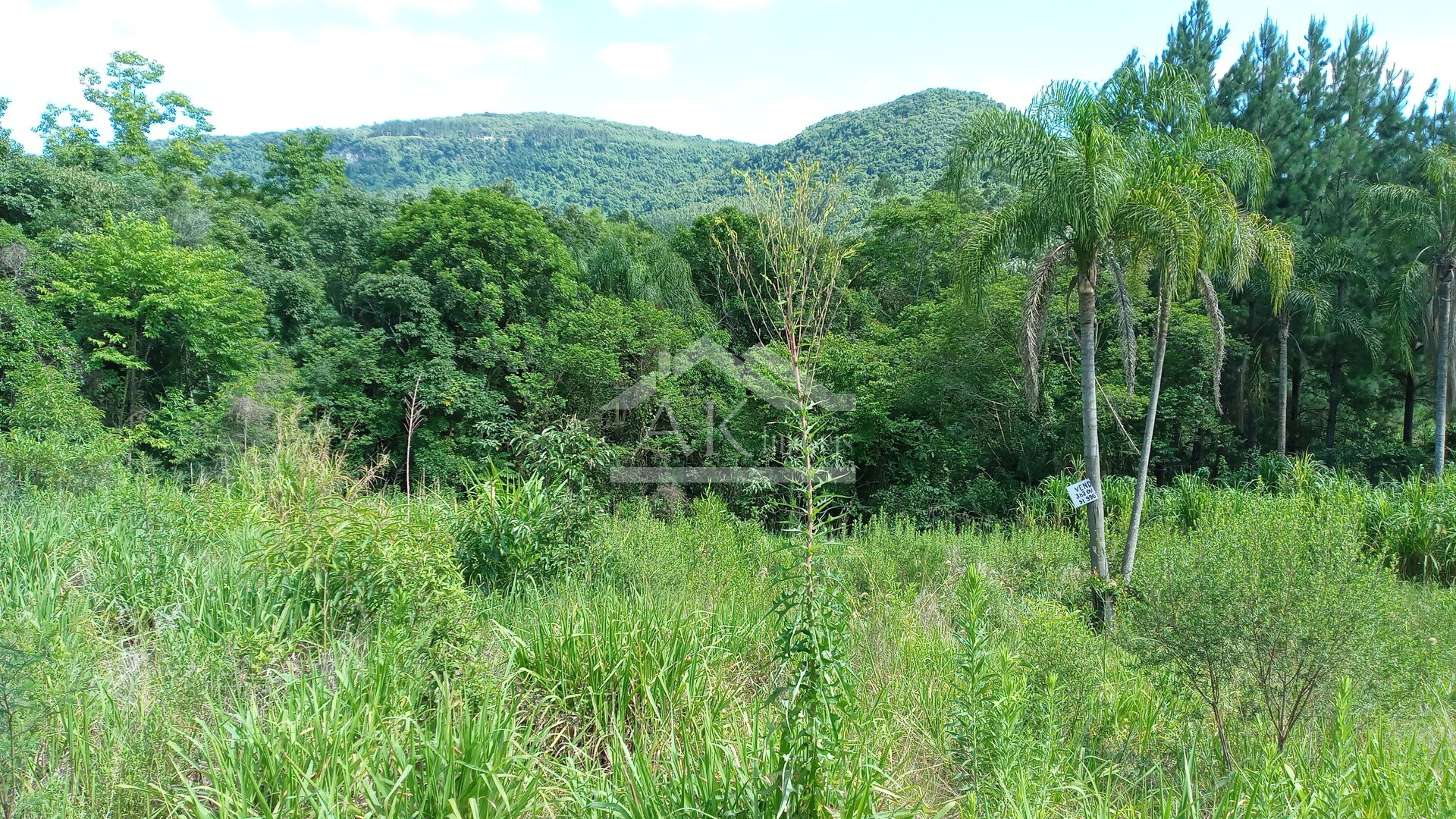 Área de terras com 3 hectares à venda em Picada Café na Serra Gaúcha