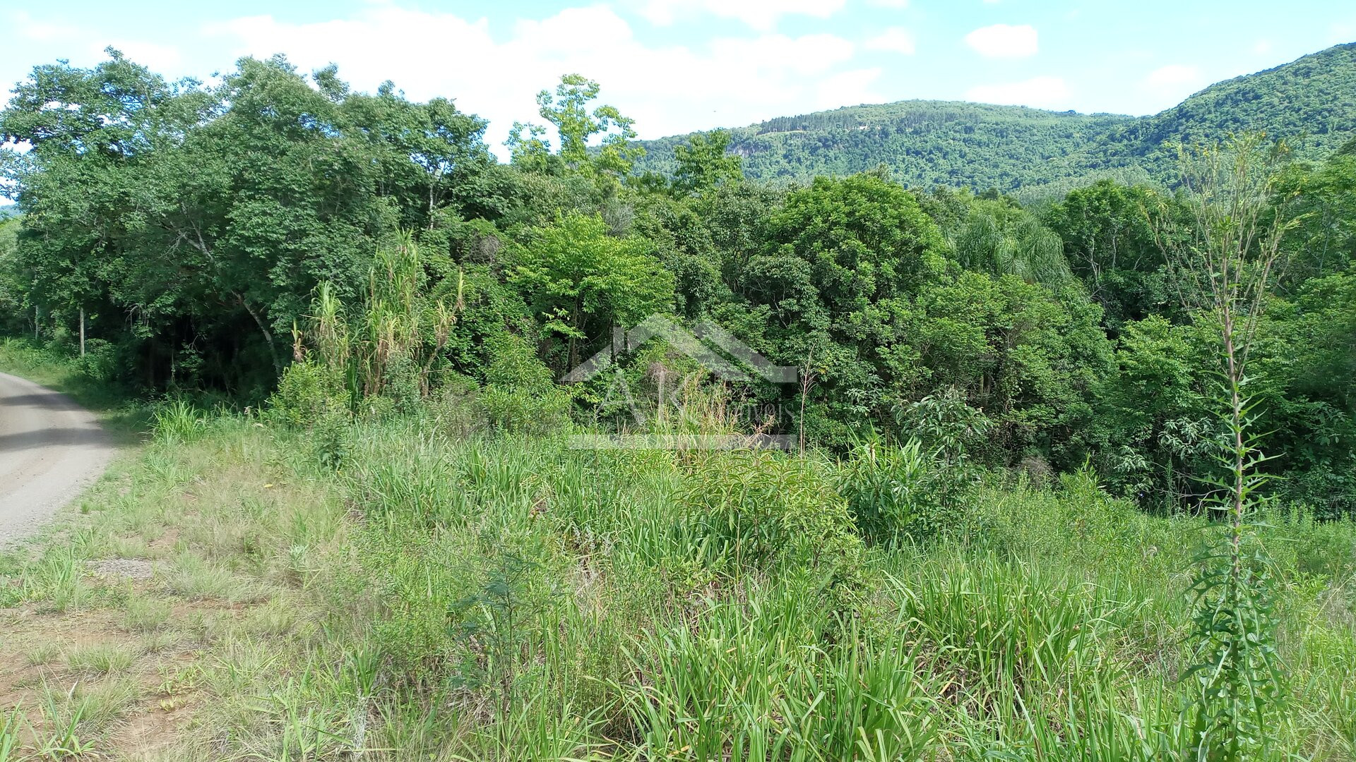 Área de terras com 3 hectares à venda em Picada Café na Serra Gaúcha