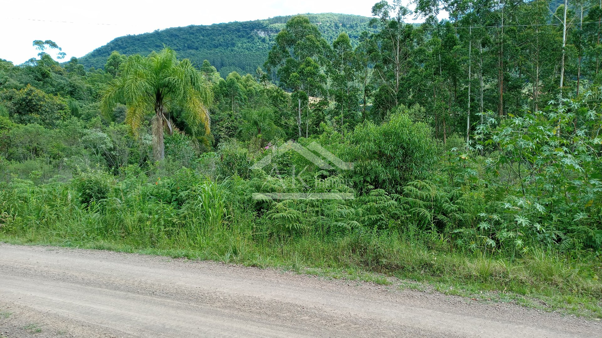 Área de terras com 3 hectares à venda em Picada Café na Serra Gaúcha