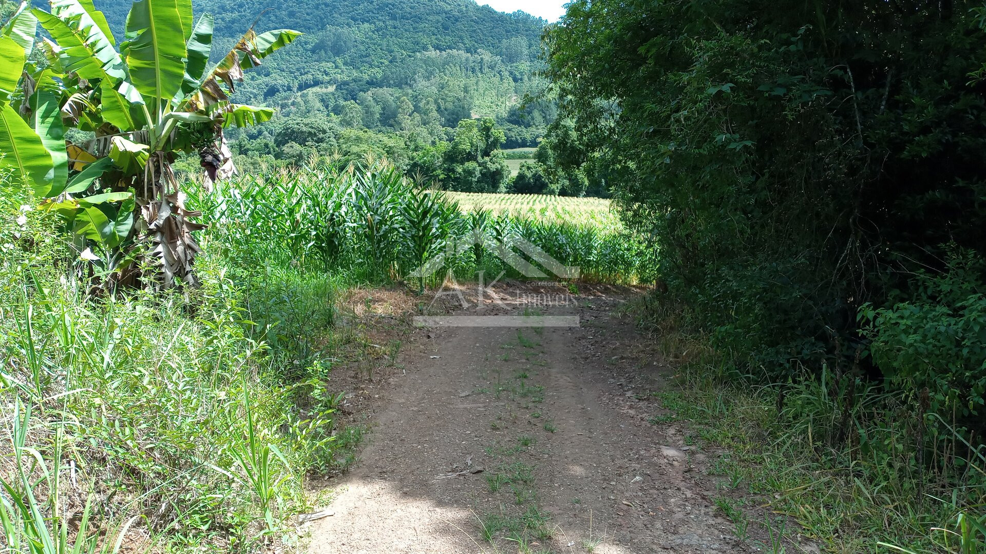 Área de terras com 3 hectares à venda em Picada Café na Serra Gaúcha
