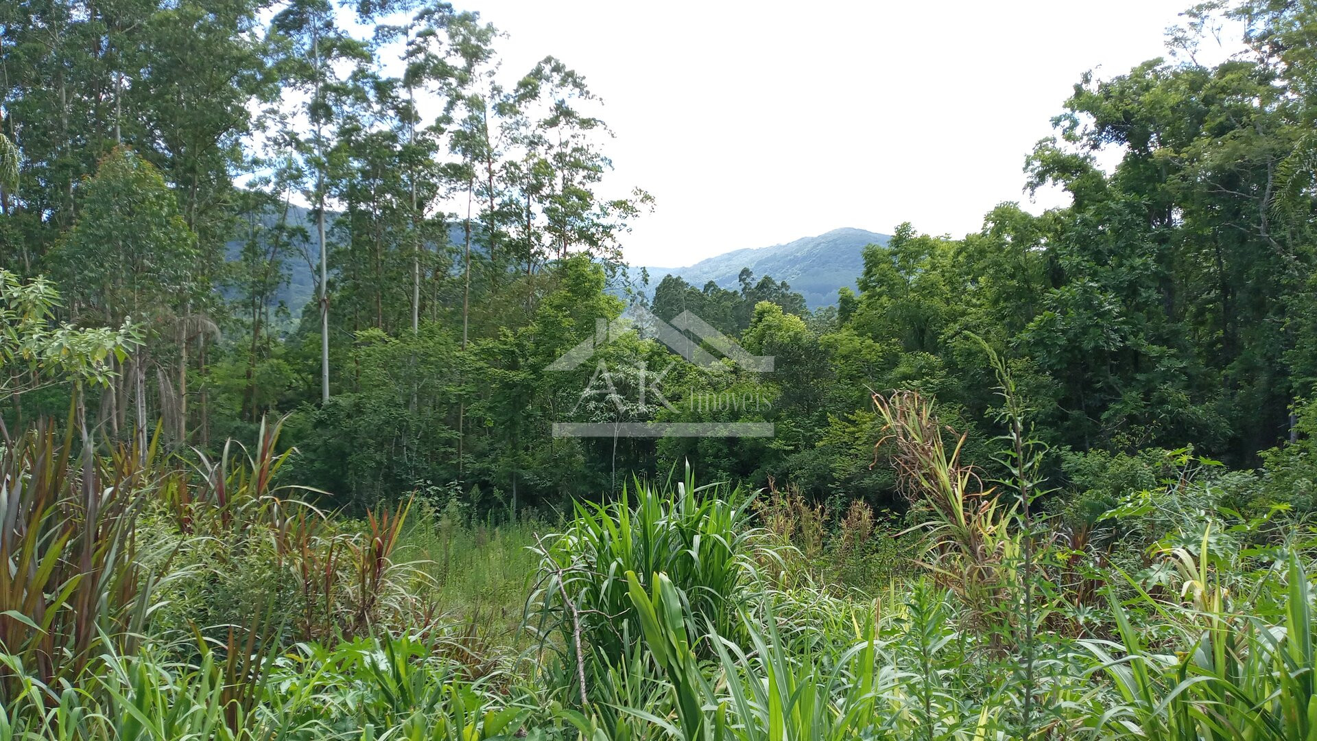Área de terras com 3 hectares à venda em Picada Café na Serra Gaúcha