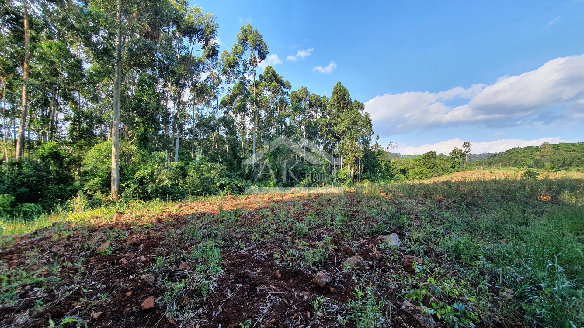 Área de terras com vista à venda no alto de Linha Nova - RS