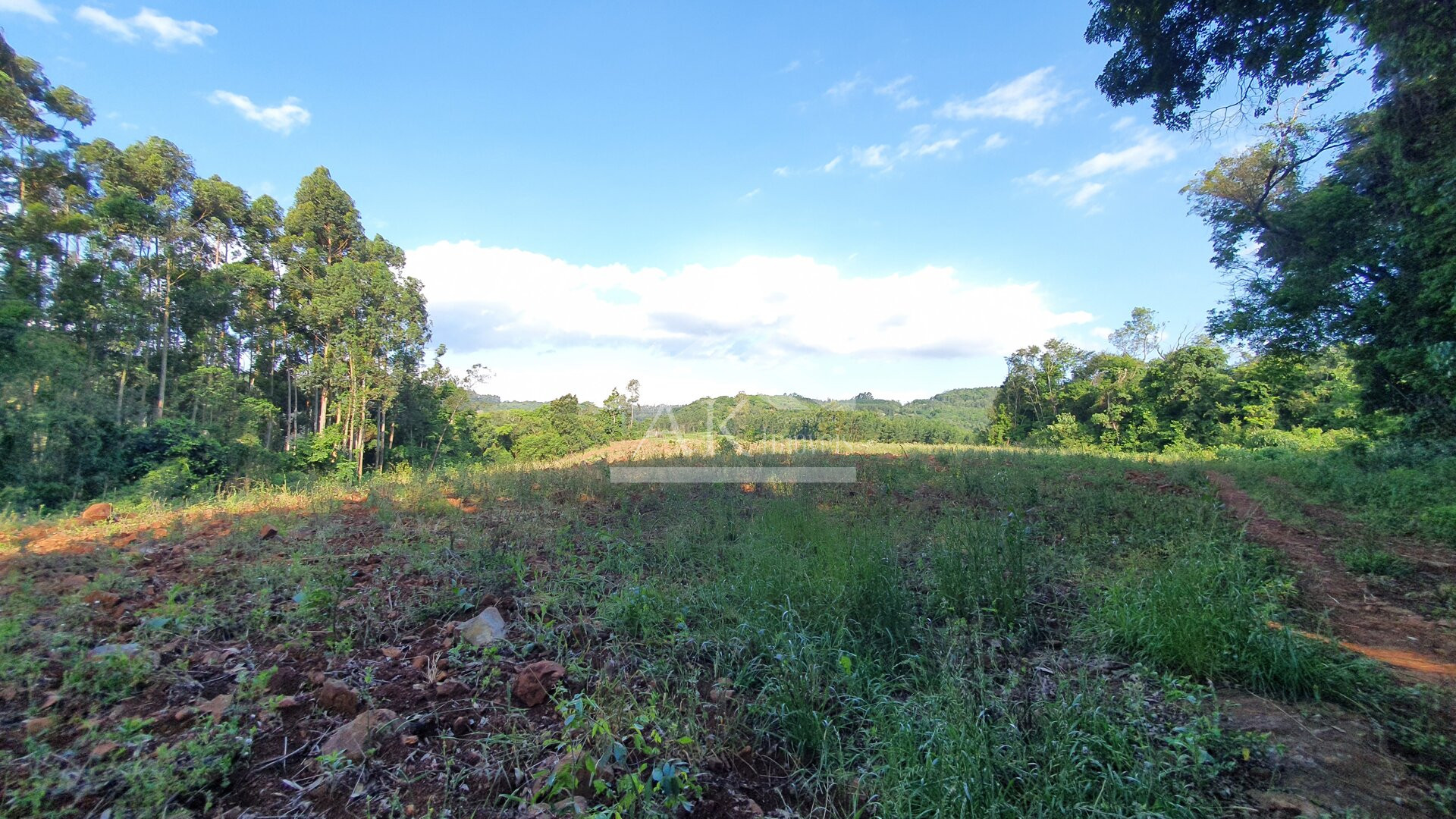 Área de terras com vista à venda no alto de Linha Nova - RS