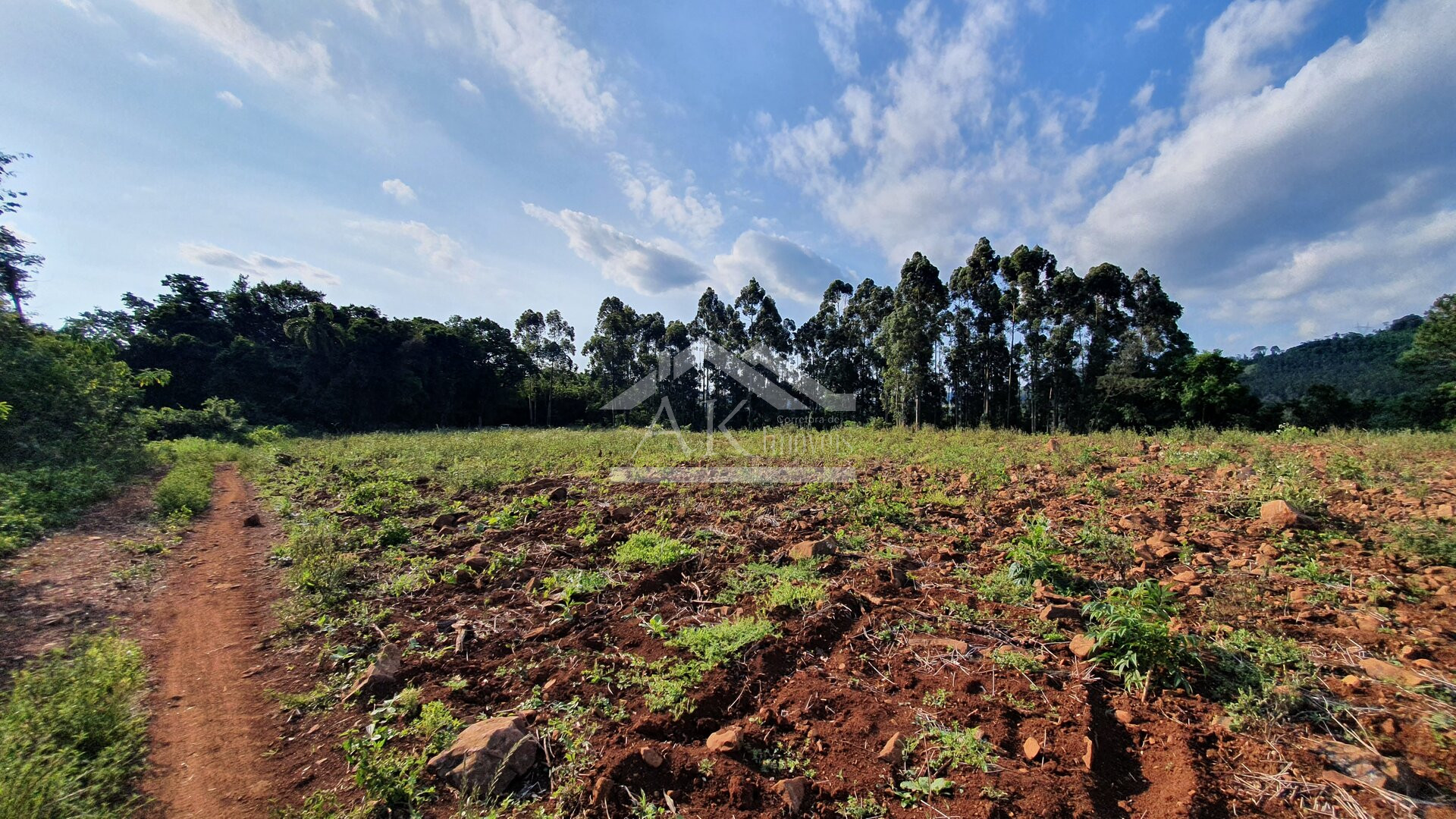 Área de terras com vista à venda no alto de Linha Nova - RS