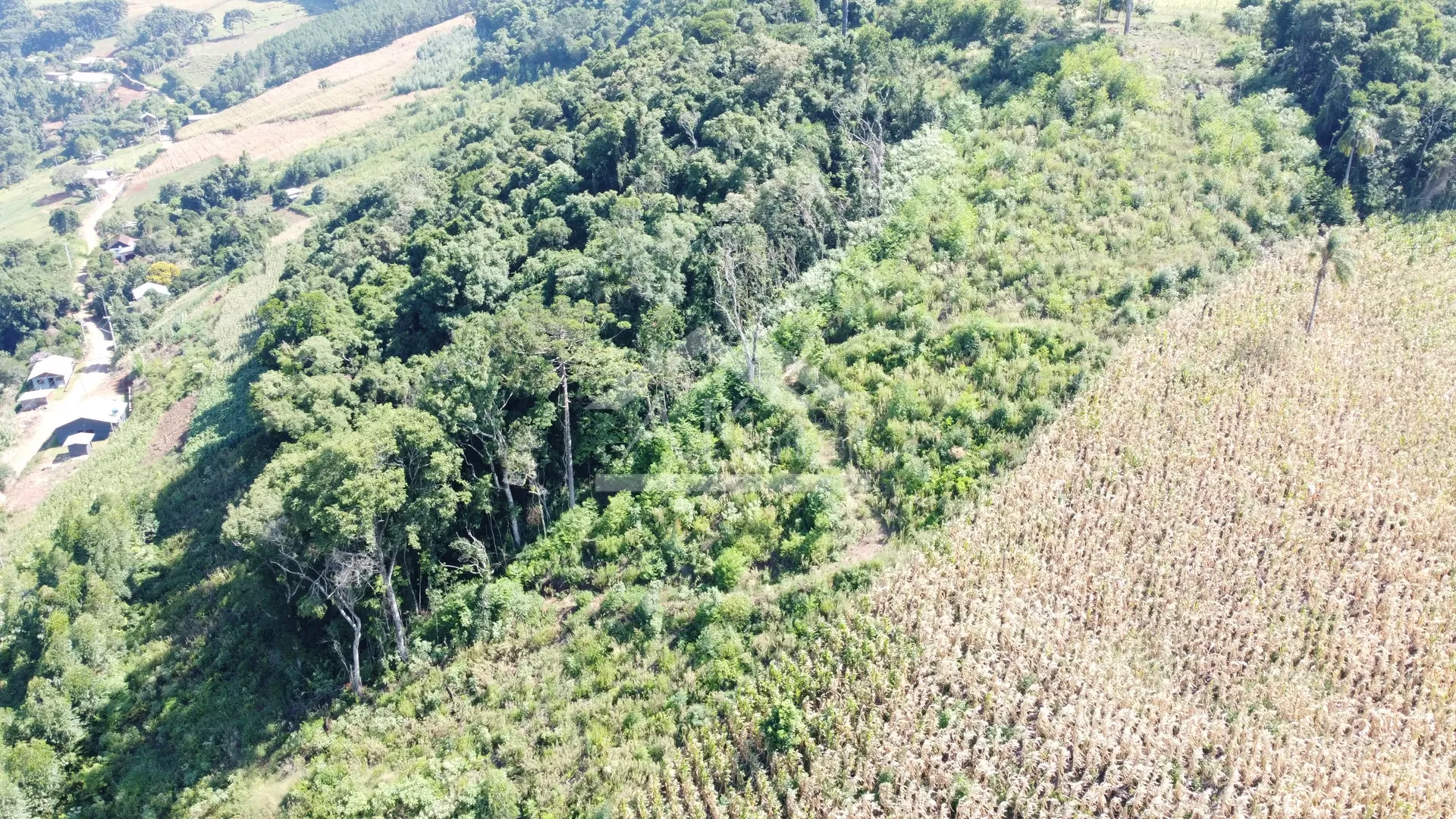 Área de terra com vista panorâmica à venda em Morro Reuter-RS