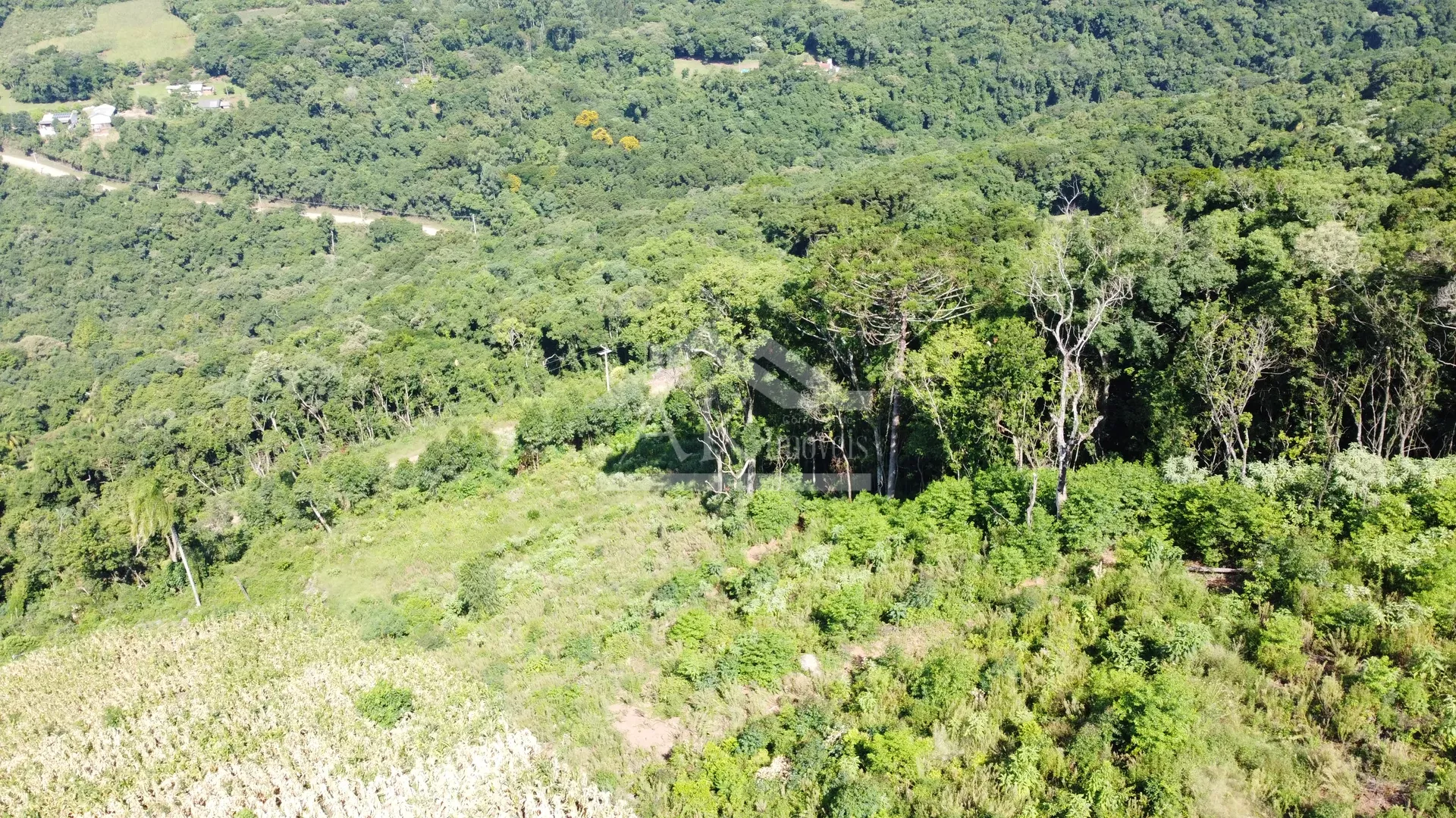 Área de terra com vista panorâmica à venda em Morro Reuter-RS