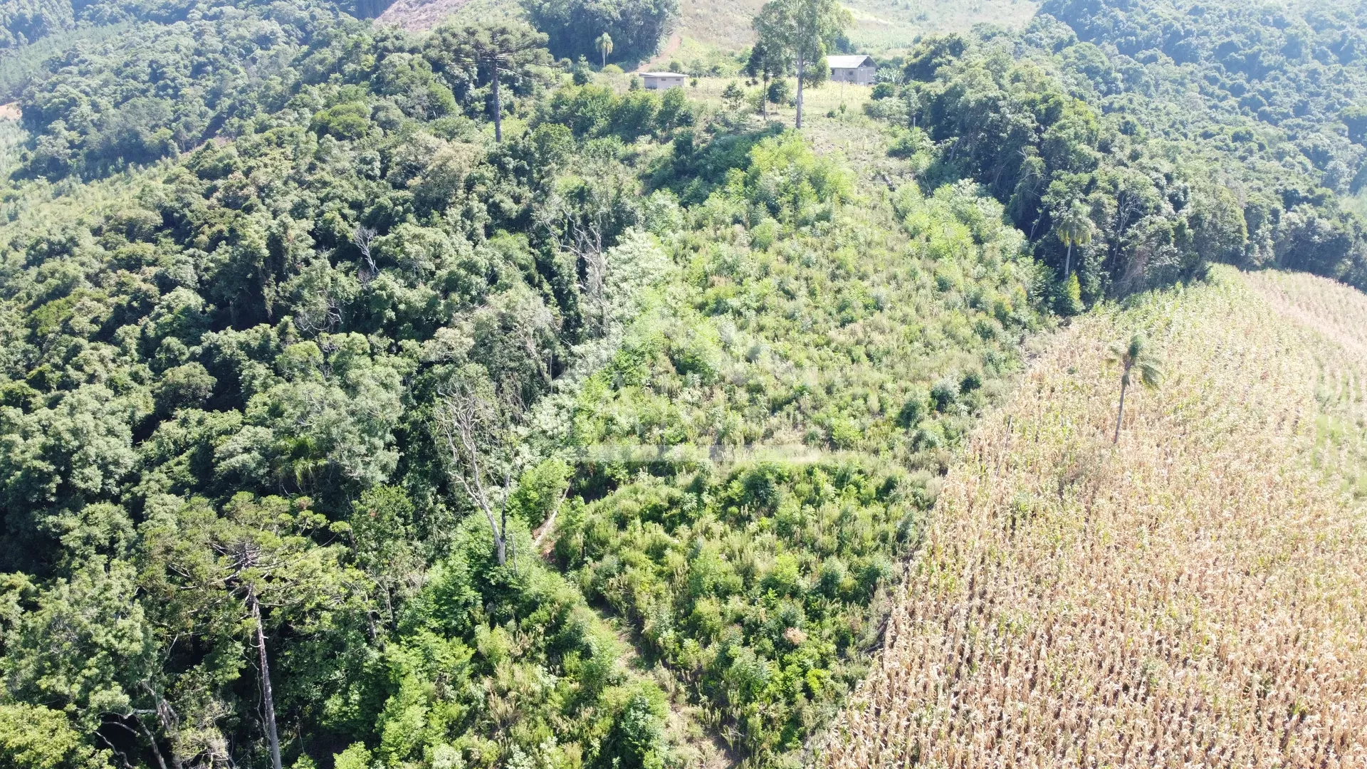 Área de terra com vista panorâmica à venda em Morro Reuter-RS