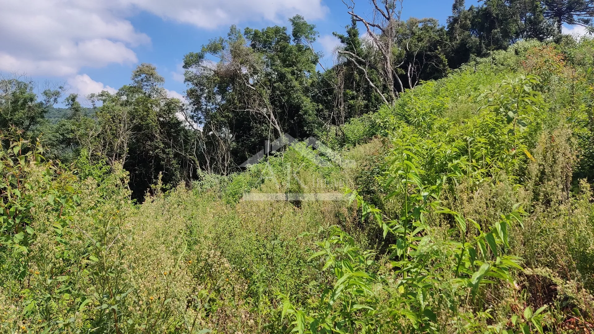 Área de terra com vista panorâmica à venda em Morro Reuter-RS