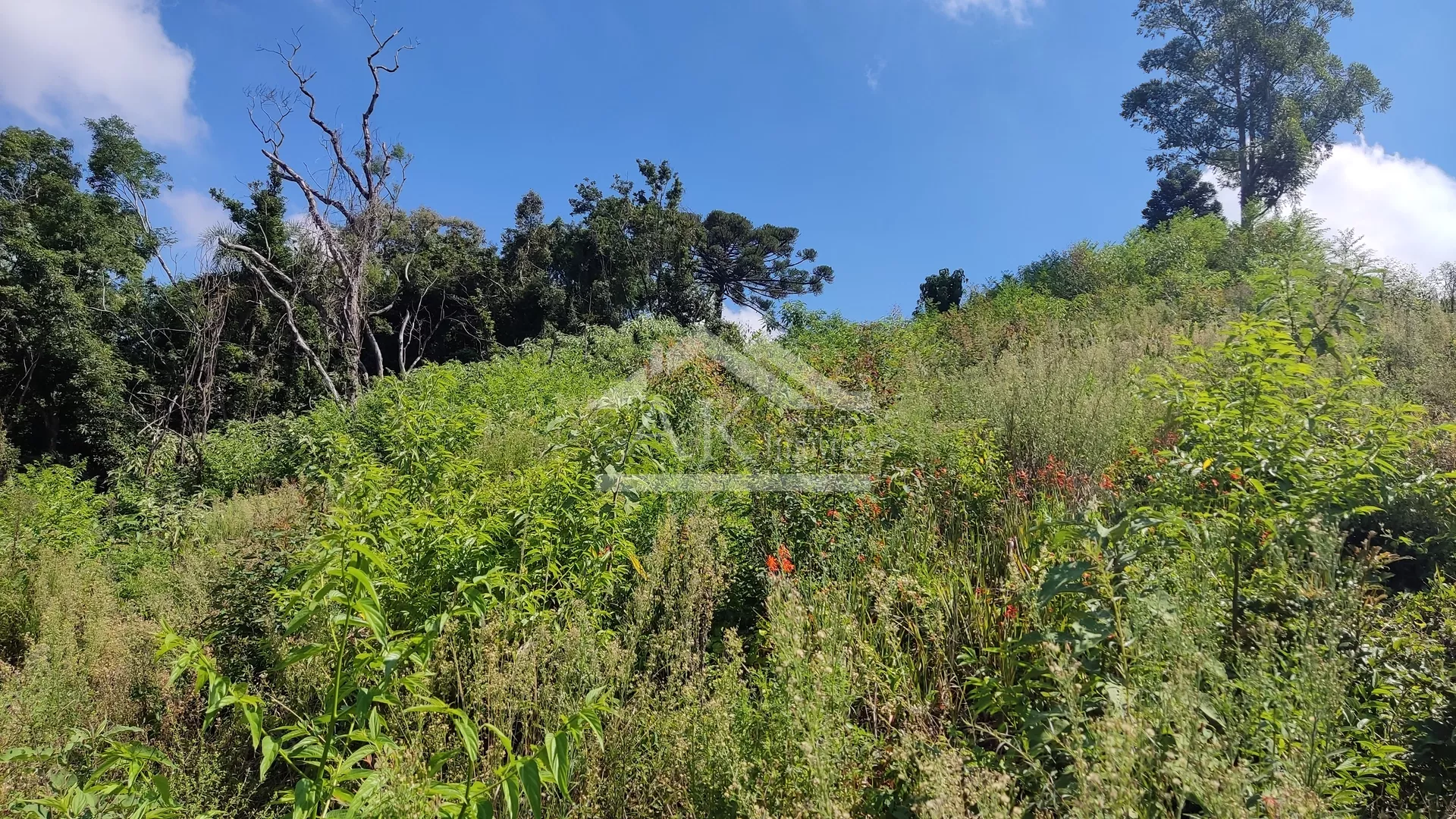 Área de terra com vista panorâmica à venda em Morro Reuter-RS