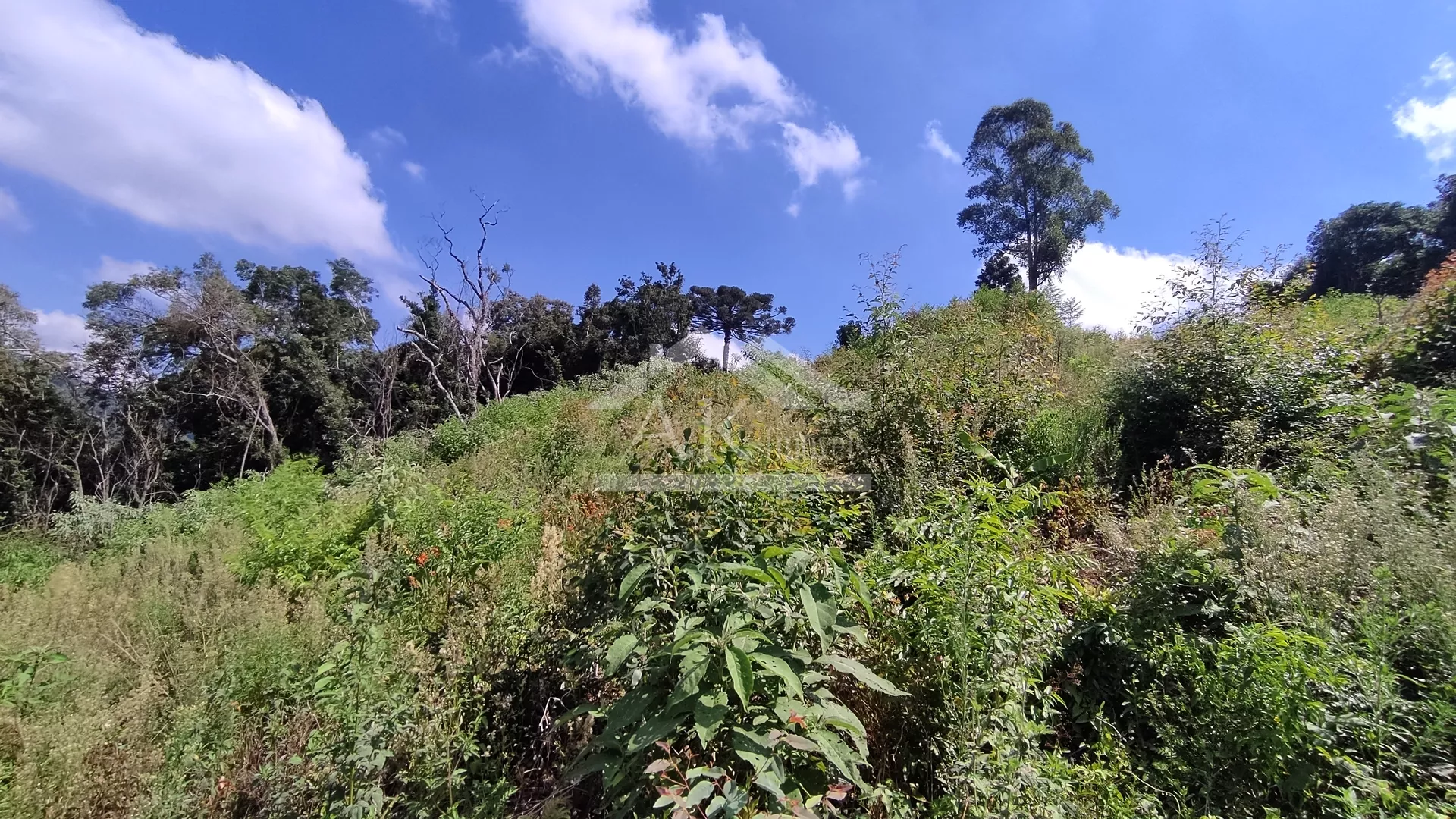 Área de terra com vista panorâmica à venda em Morro Reuter-RS
