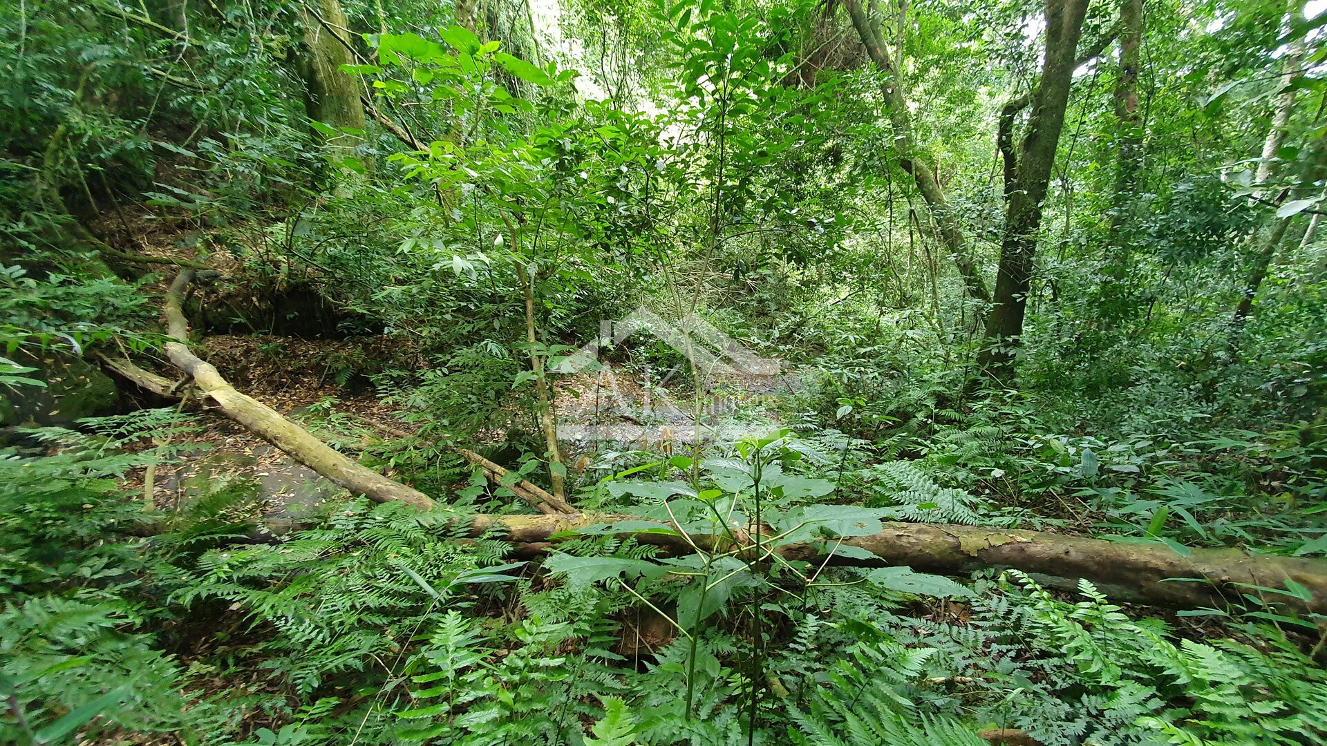 Área de terras com riacho à venda em Picada Café, na serra gaúcha
