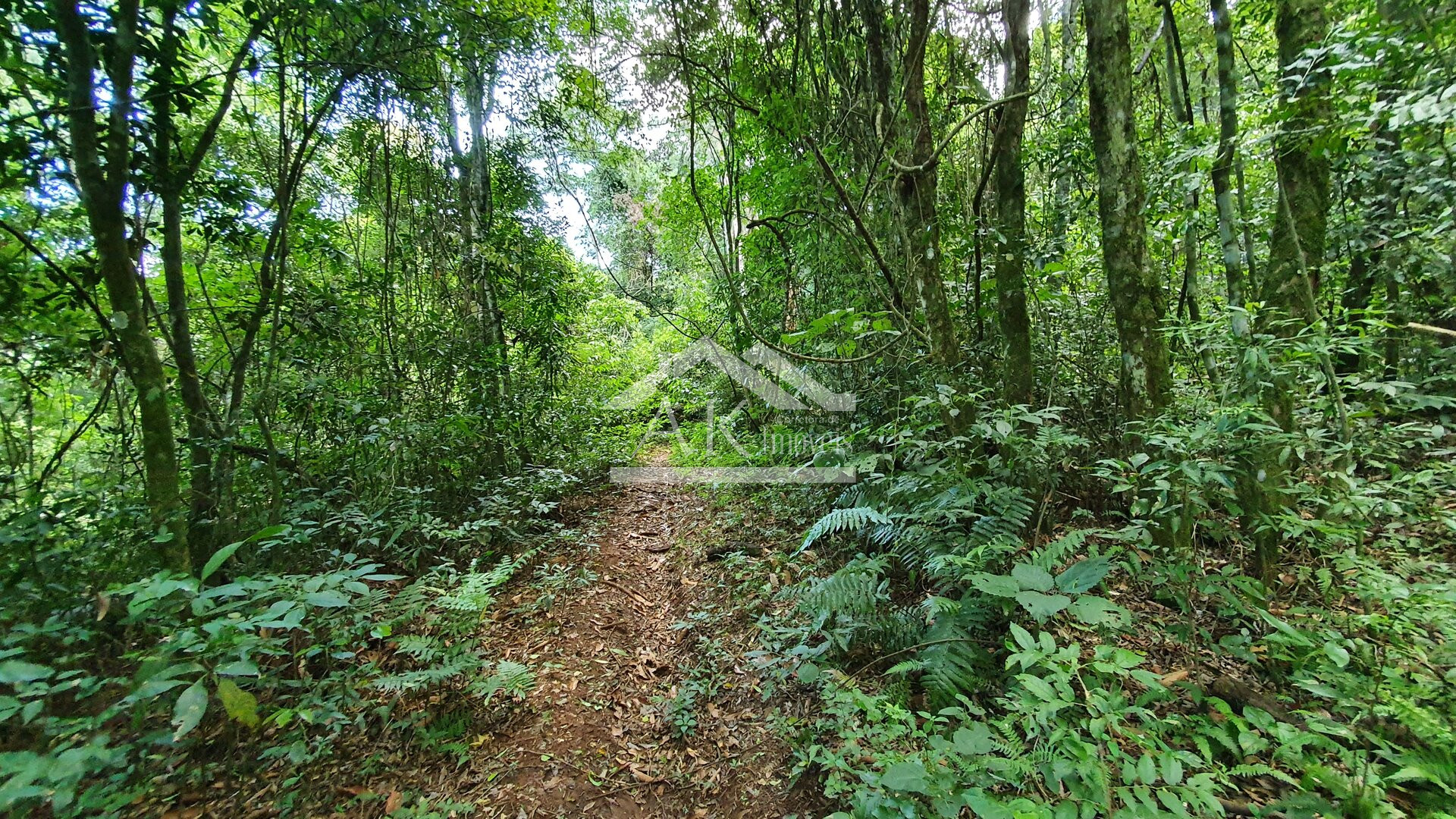 Área de terras com riacho à venda em Picada Café, na serra gaúcha