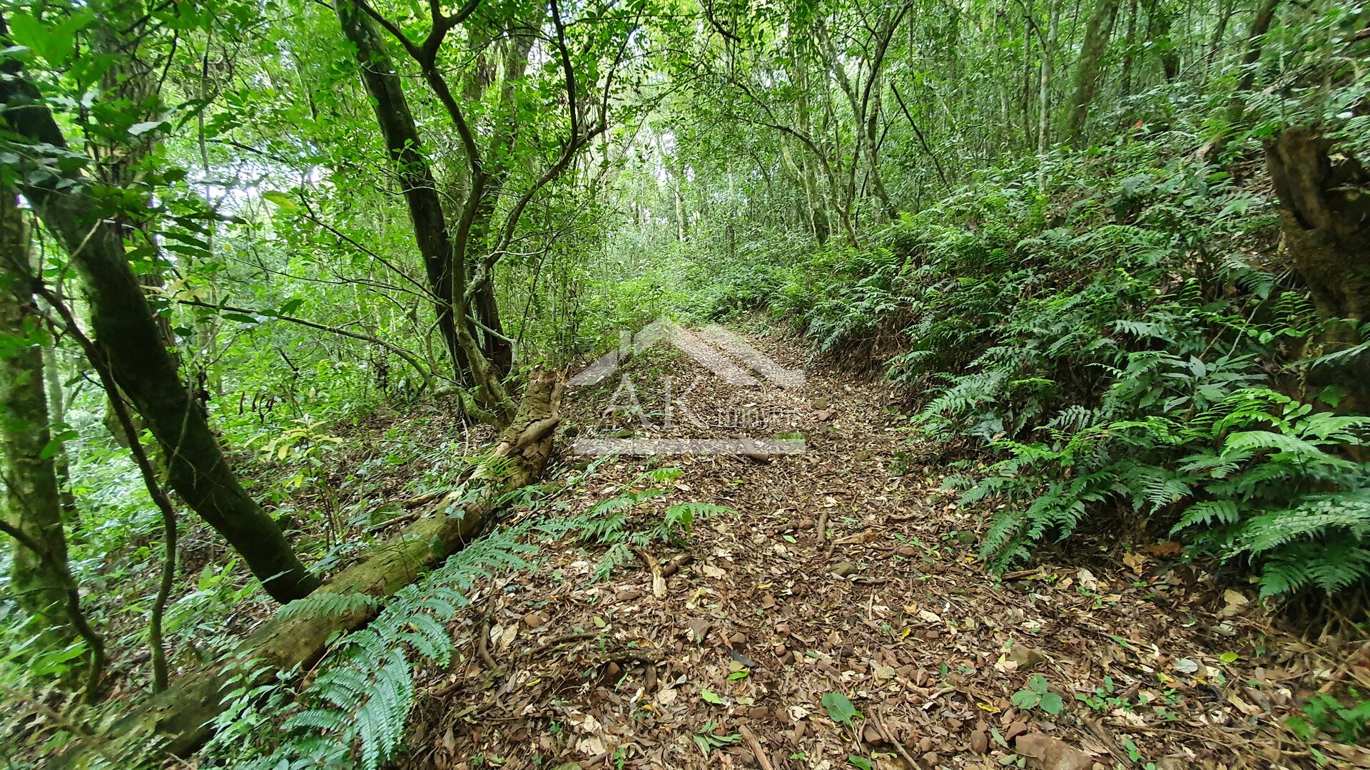Área de terras com riacho à venda em Picada Café, na serra gaúcha