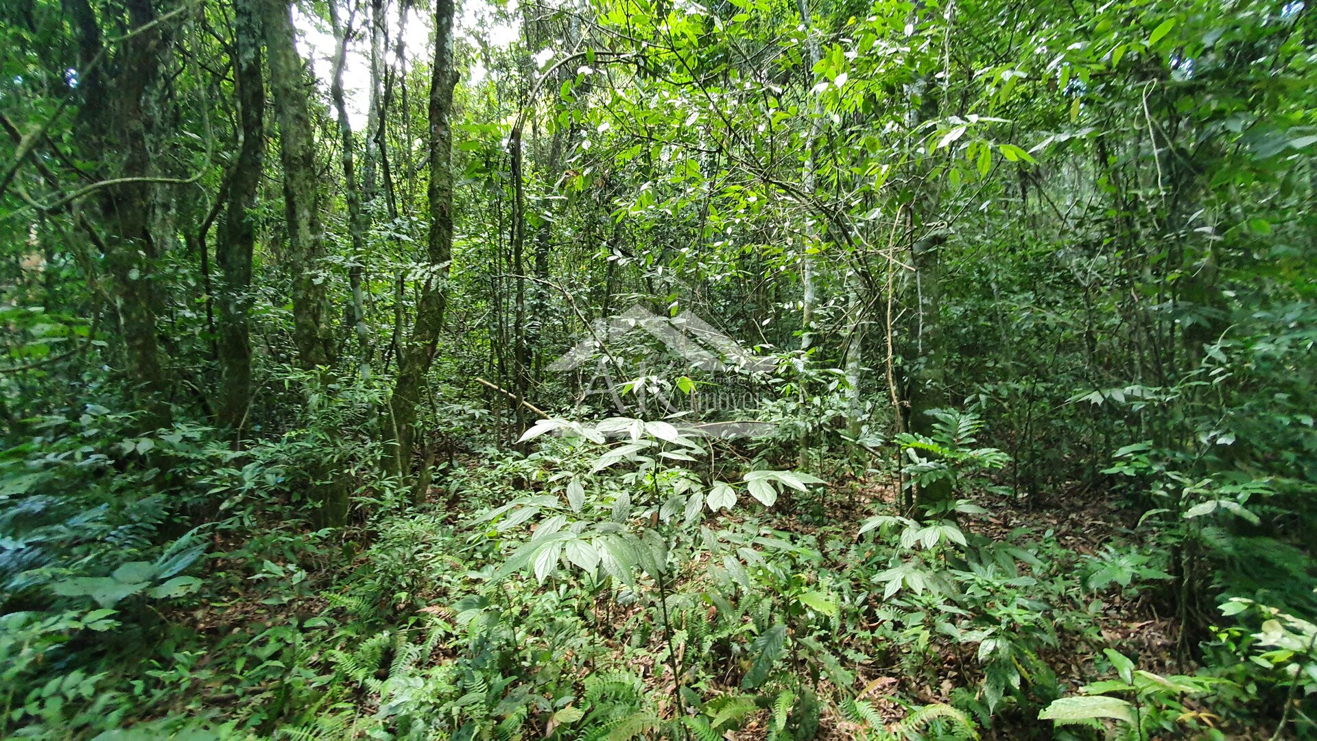 Área de terras com riacho à venda em Picada Café, na serra gaúcha