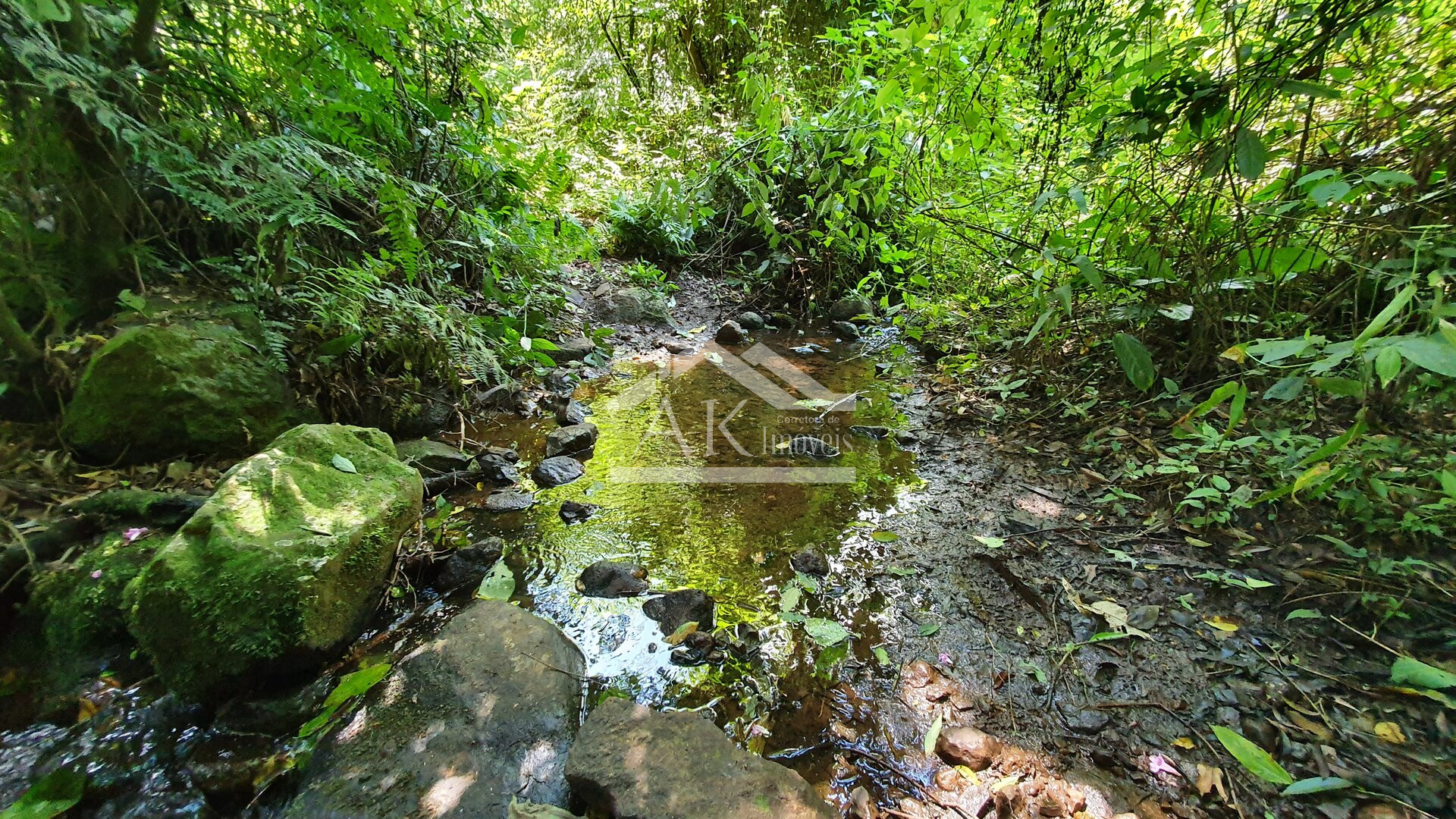 Área de terras com riacho à venda em Picada Café, na serra gaúcha