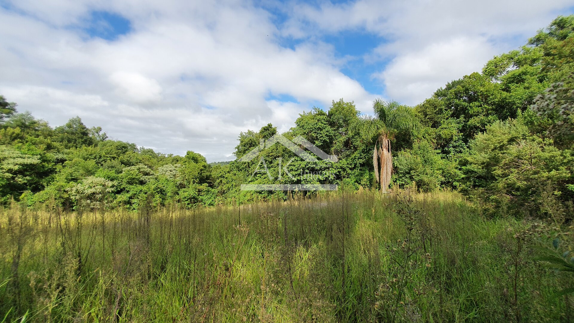 Área de Terras para Investimento à Venda em Nova Petrópolis na Serra Gaúcha