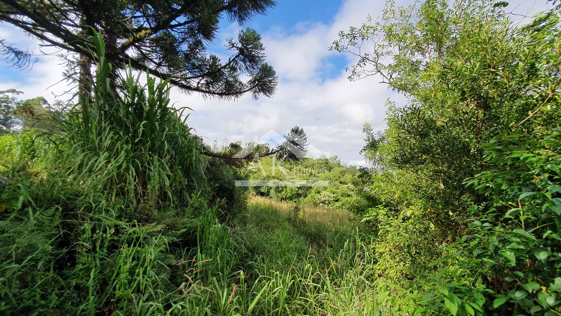 Área de Terras para Investimento à Venda em Nova Petrópolis na Serra Gaúcha
