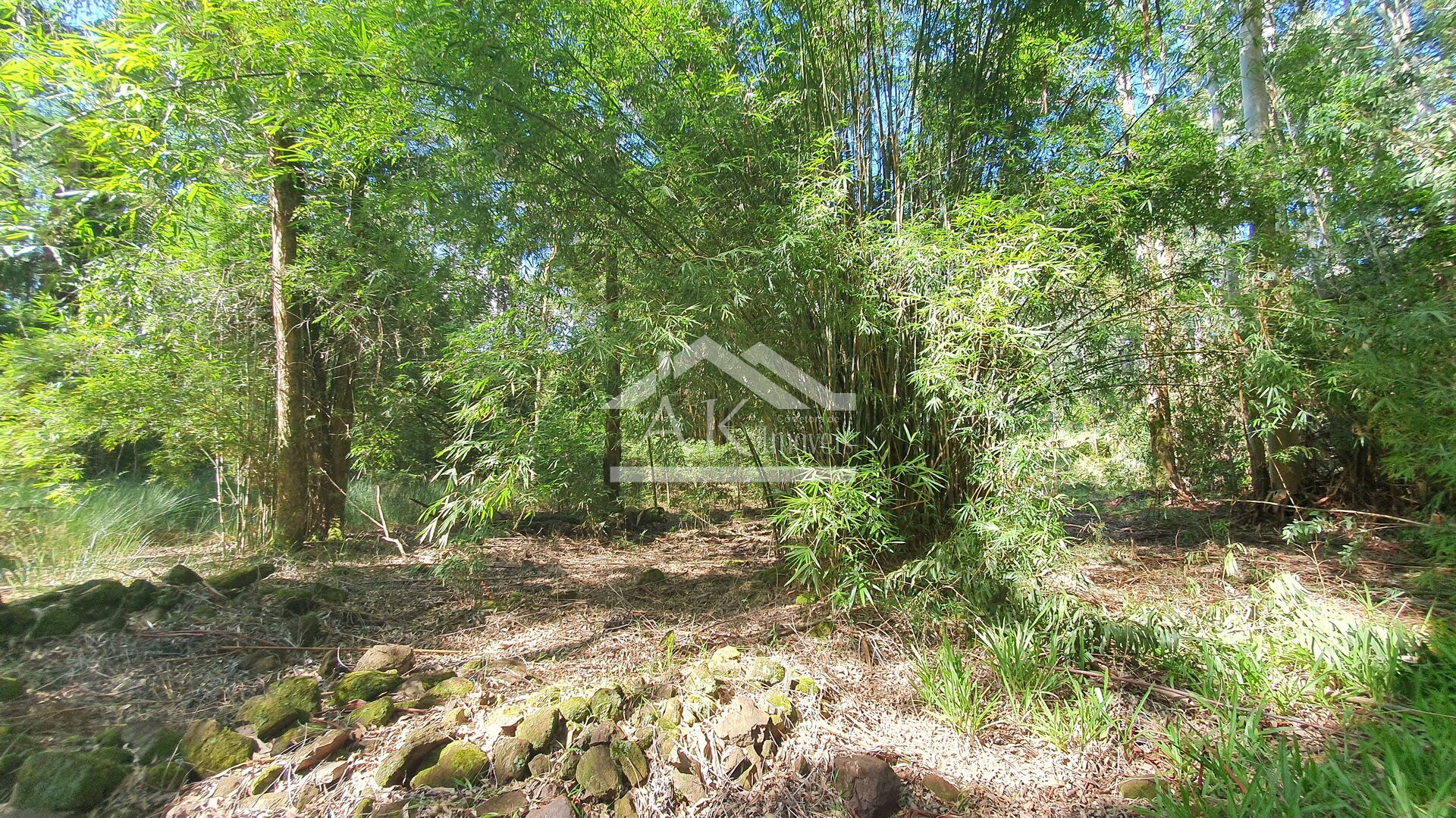 Área de Terras para Investimento à Venda em Nova Petrópolis na Serra Gaúcha