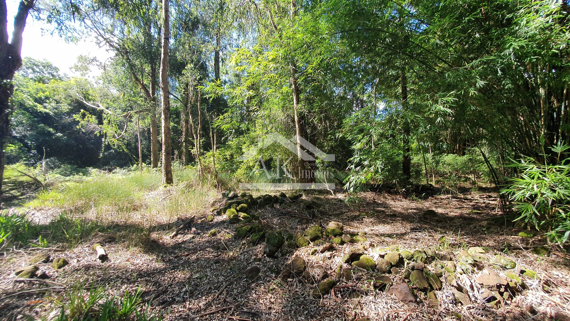 Área de Terras para Investimento à Venda em Nova Petrópolis na Serra Gaúcha