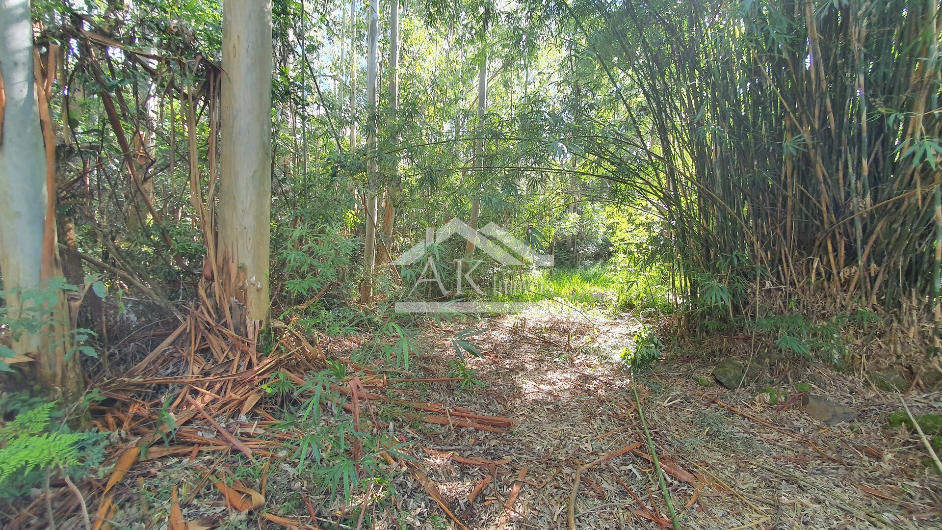 Área de Terras para Investimento à Venda em Nova Petrópolis na Serra Gaúcha