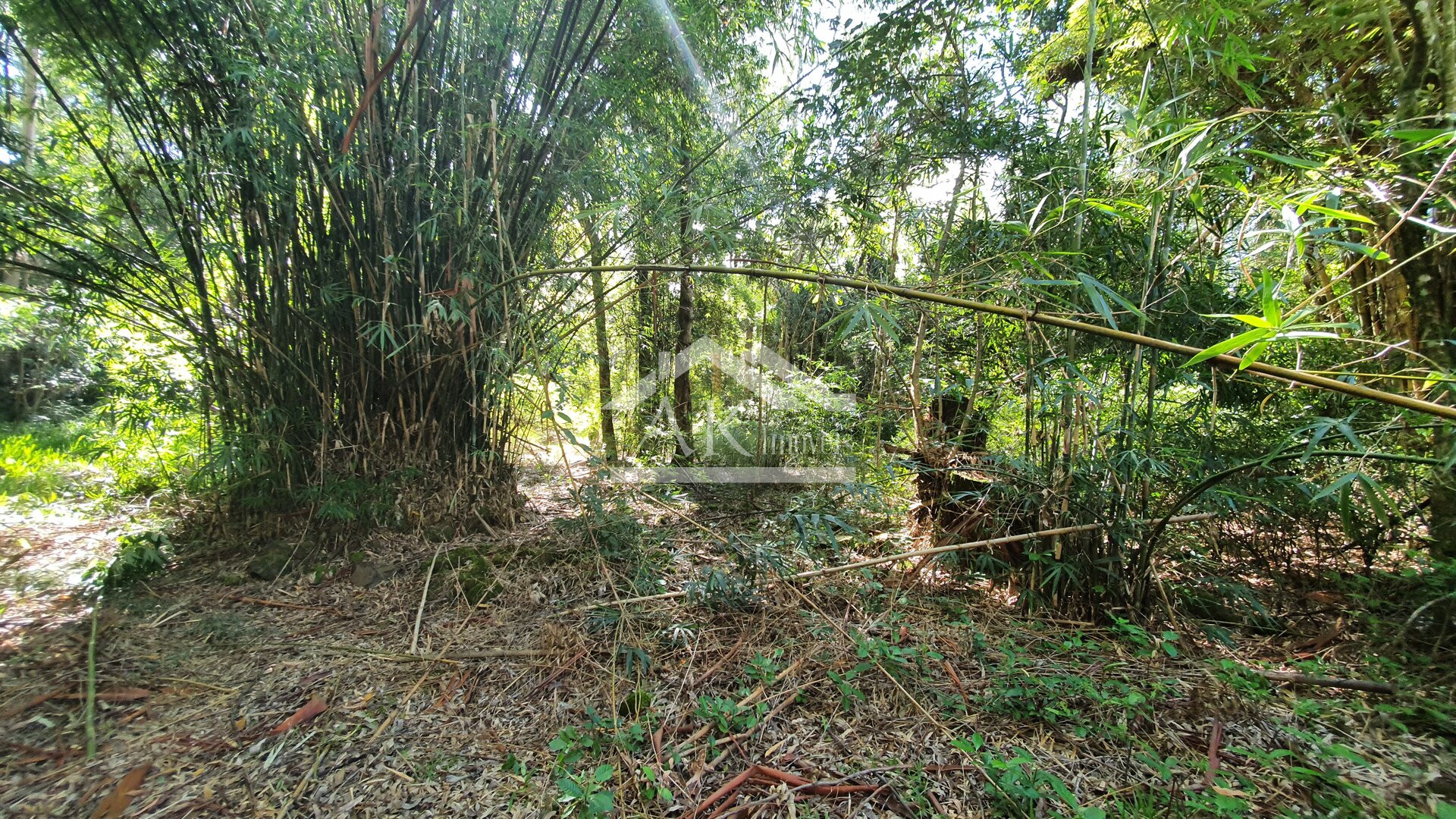 Área de Terras para Investimento à Venda em Nova Petrópolis na Serra Gaúcha