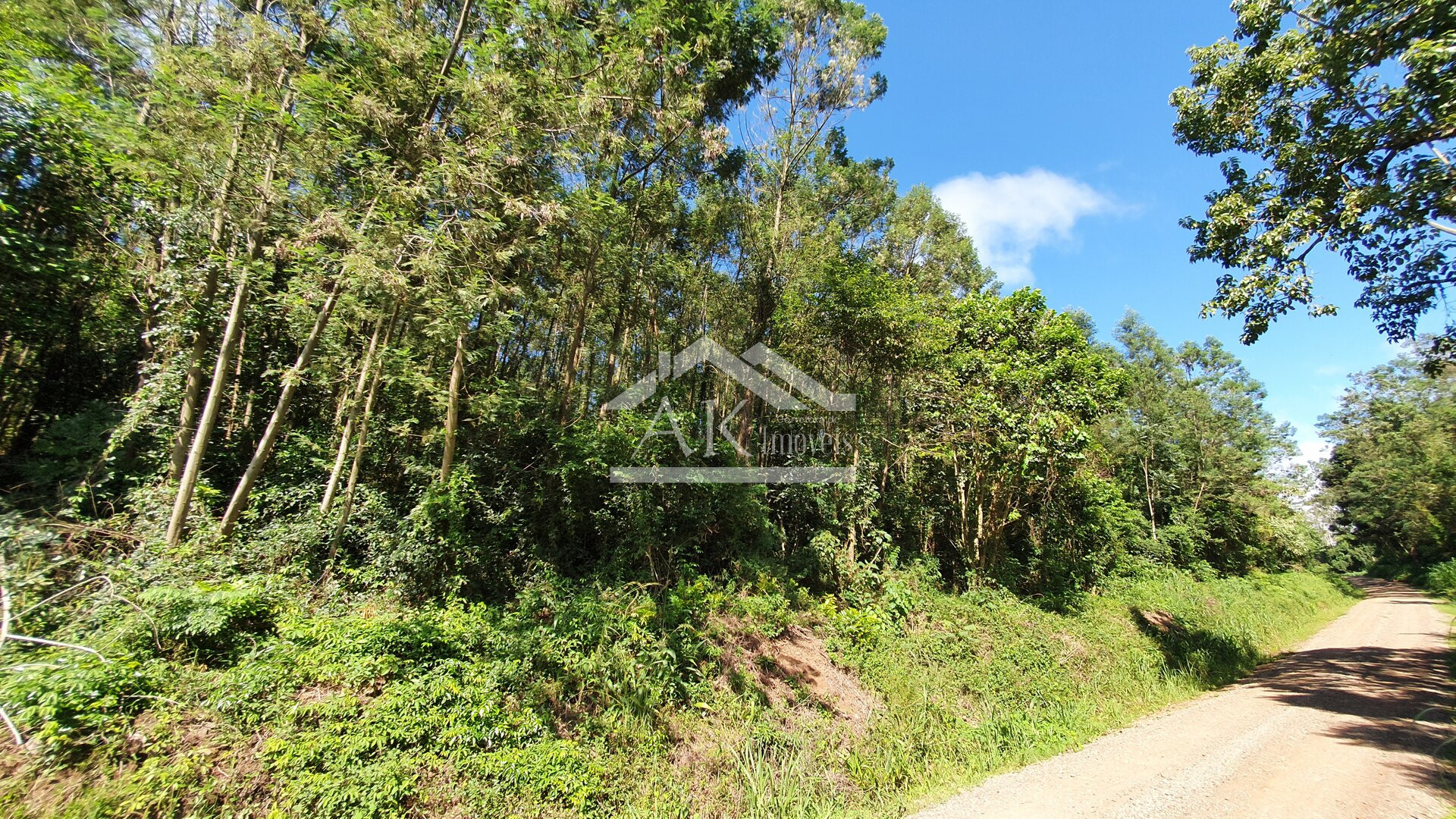Área de Terras para Investimento à Venda em Nova Petrópolis na Serra Gaúcha