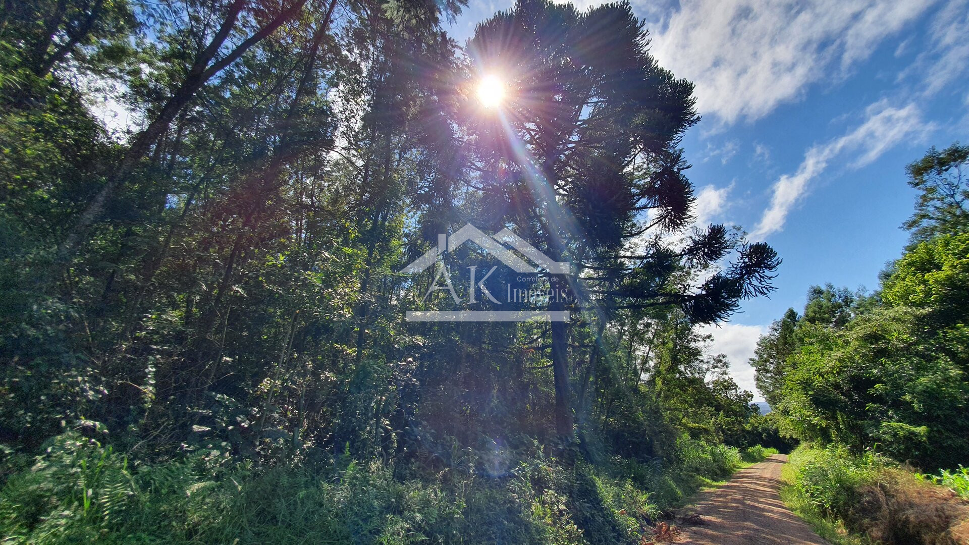 Área de Terras para Investimento à Venda em Nova Petrópolis na Serra Gaúcha