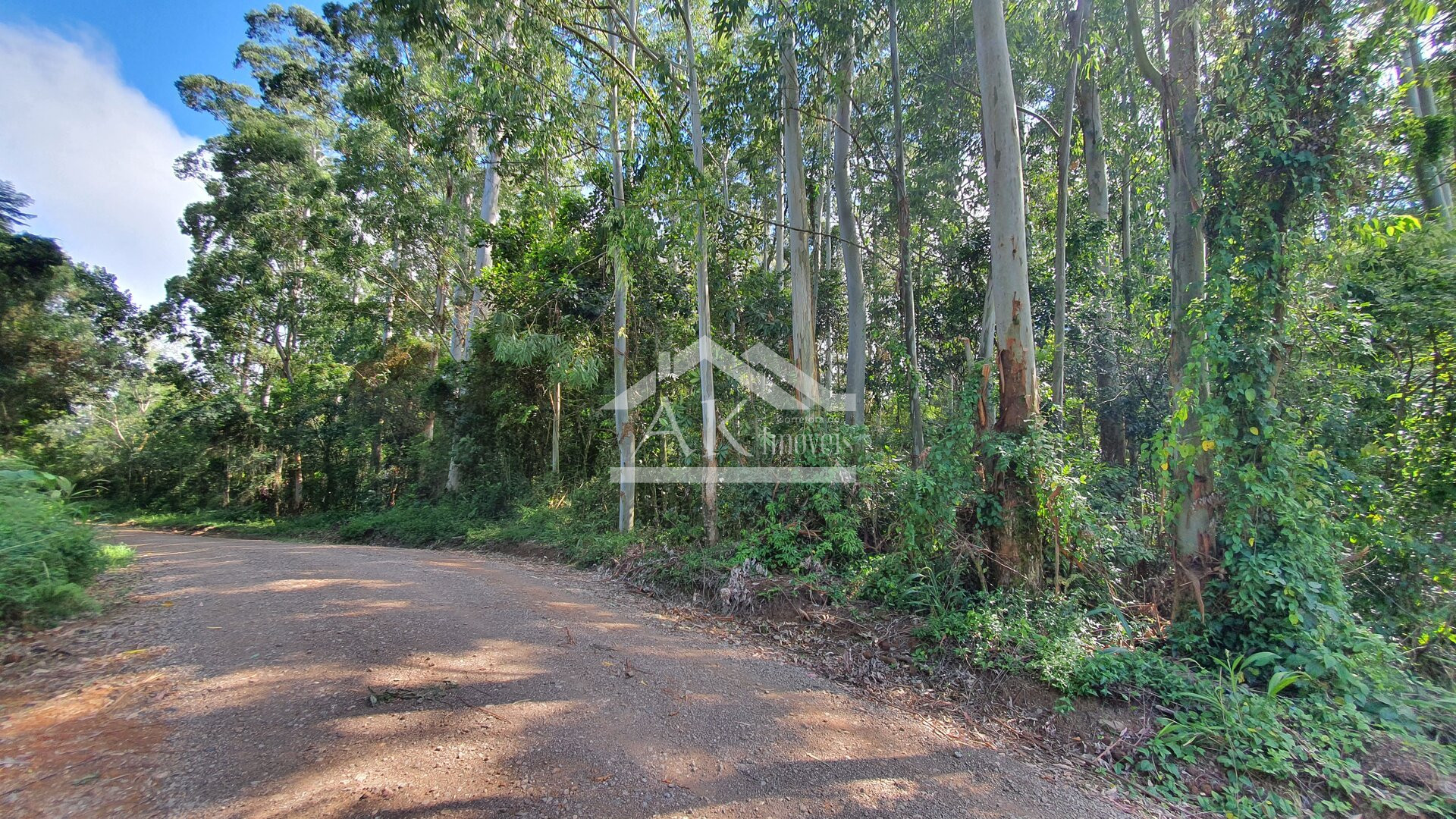 Área de Terras para Investimento à Venda em Nova Petrópolis na Serra Gaúcha