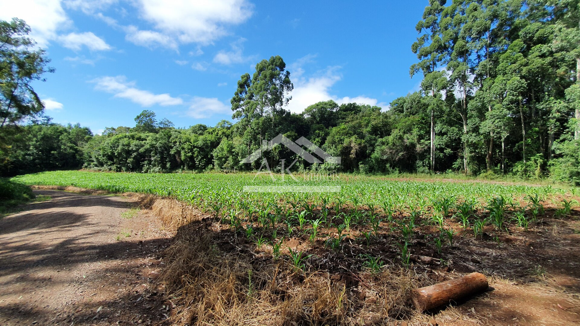 Área de Terras para Investimento à Venda em Nova Petrópolis na Serra Gaúcha