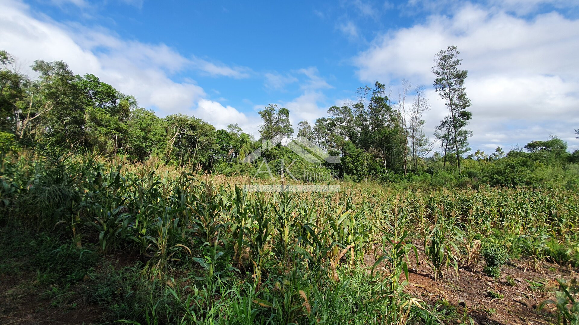 Área de Terras para Investimento à Venda em Nova Petrópolis na Serra Gaúcha