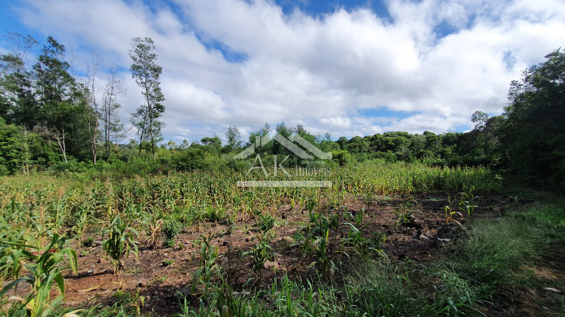 Área de Terras para Investimento à Venda em Nova Petrópolis na Serra Gaúcha