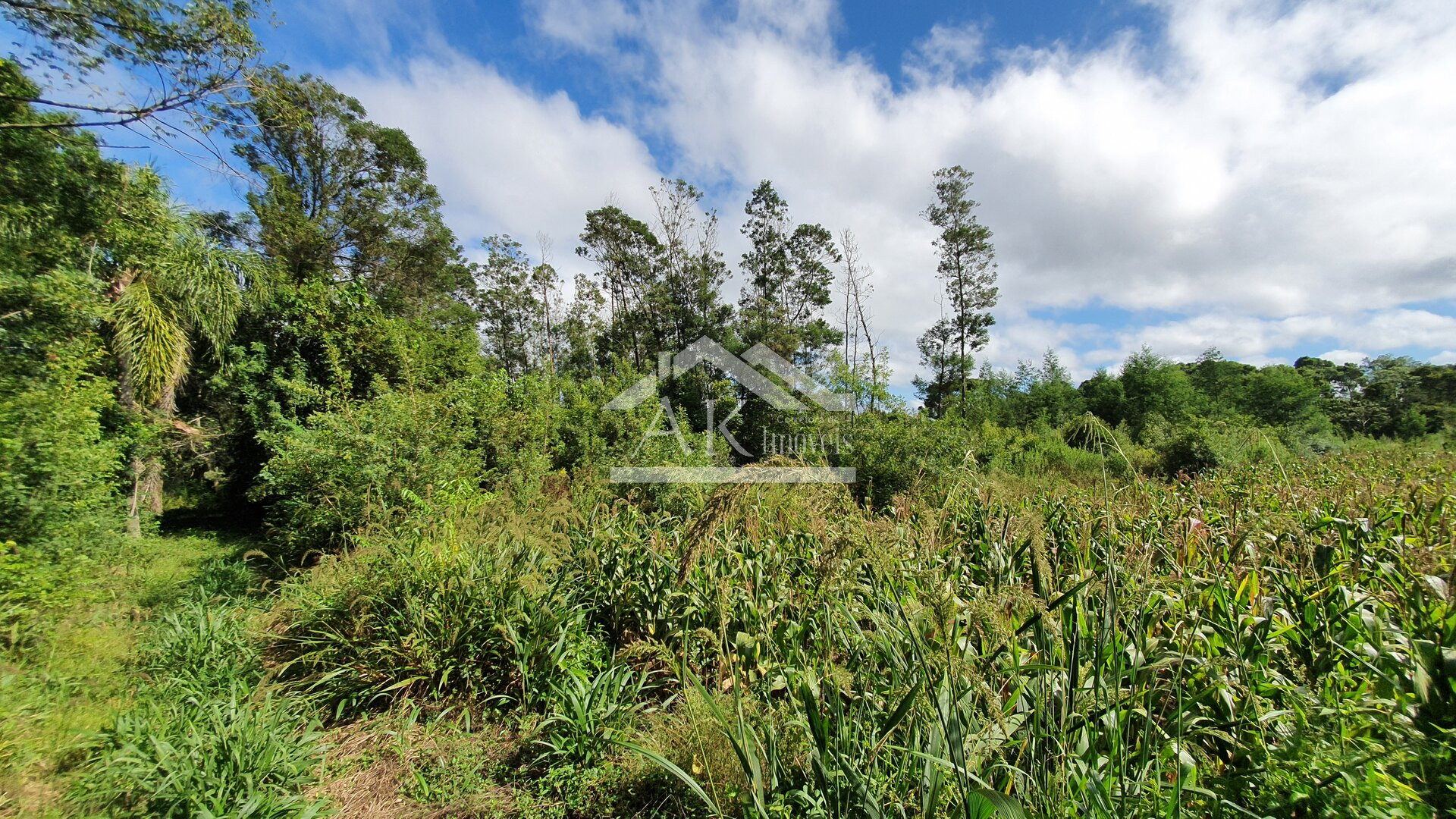 Área de Terras para Investimento à Venda em Nova Petrópolis na Serra Gaúcha