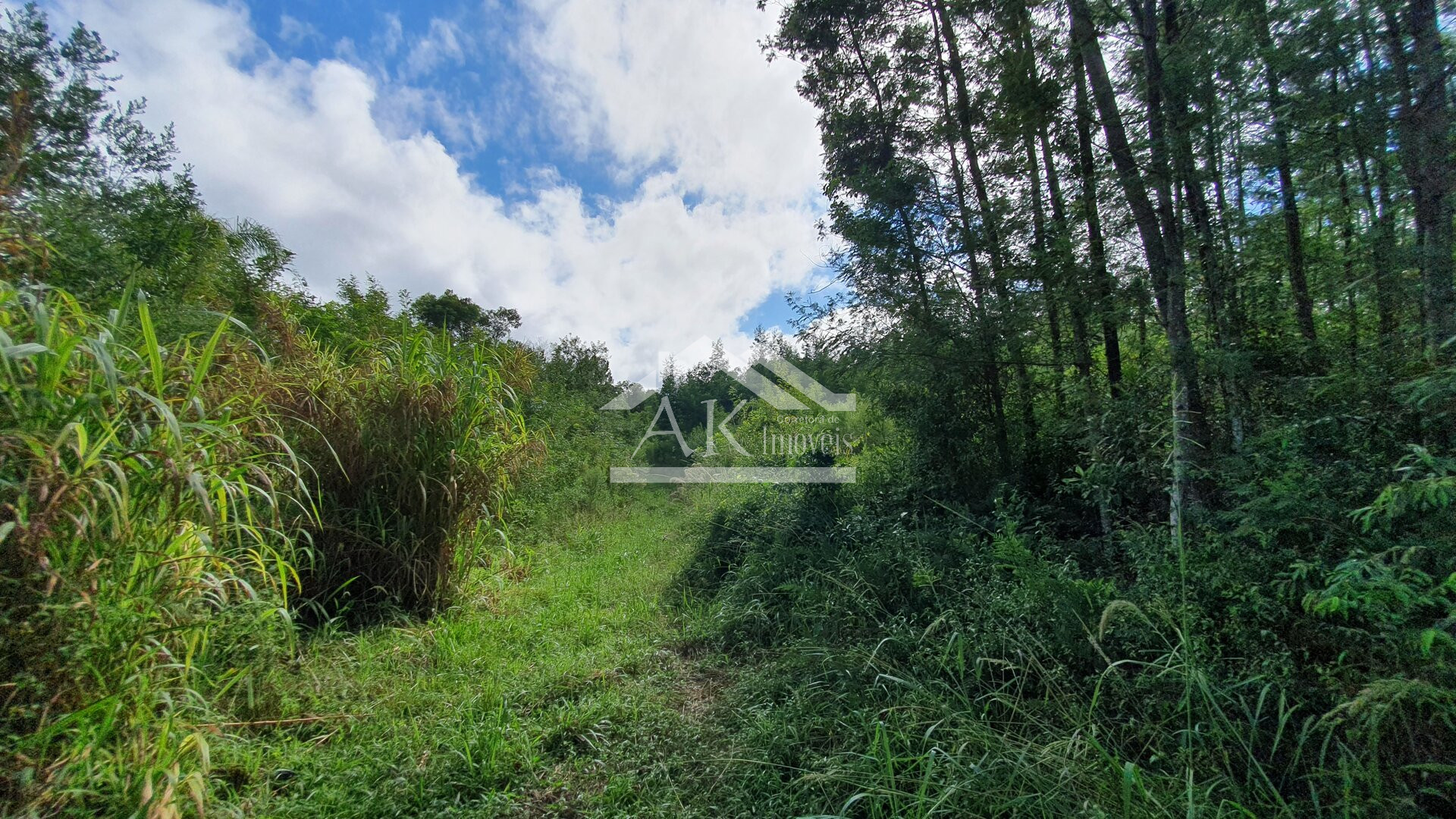 Área de Terras para Investimento à Venda em Nova Petrópolis na Serra Gaúcha