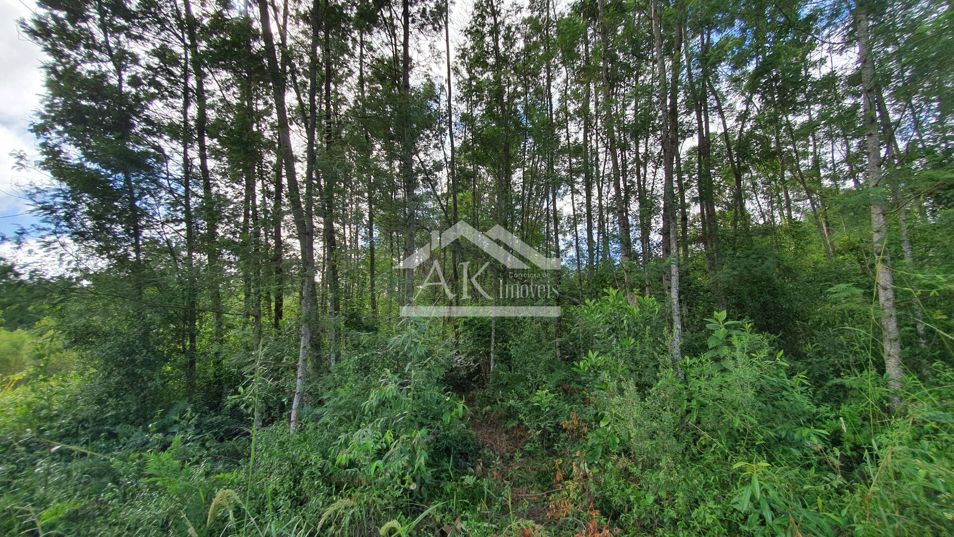 Área de Terras para Investimento à Venda em Nova Petrópolis na Serra Gaúcha