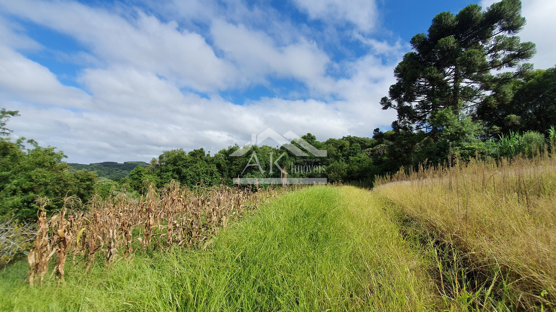 Área de Terras para Investimento à Venda em Nova Petrópolis na Serra Gaúcha
